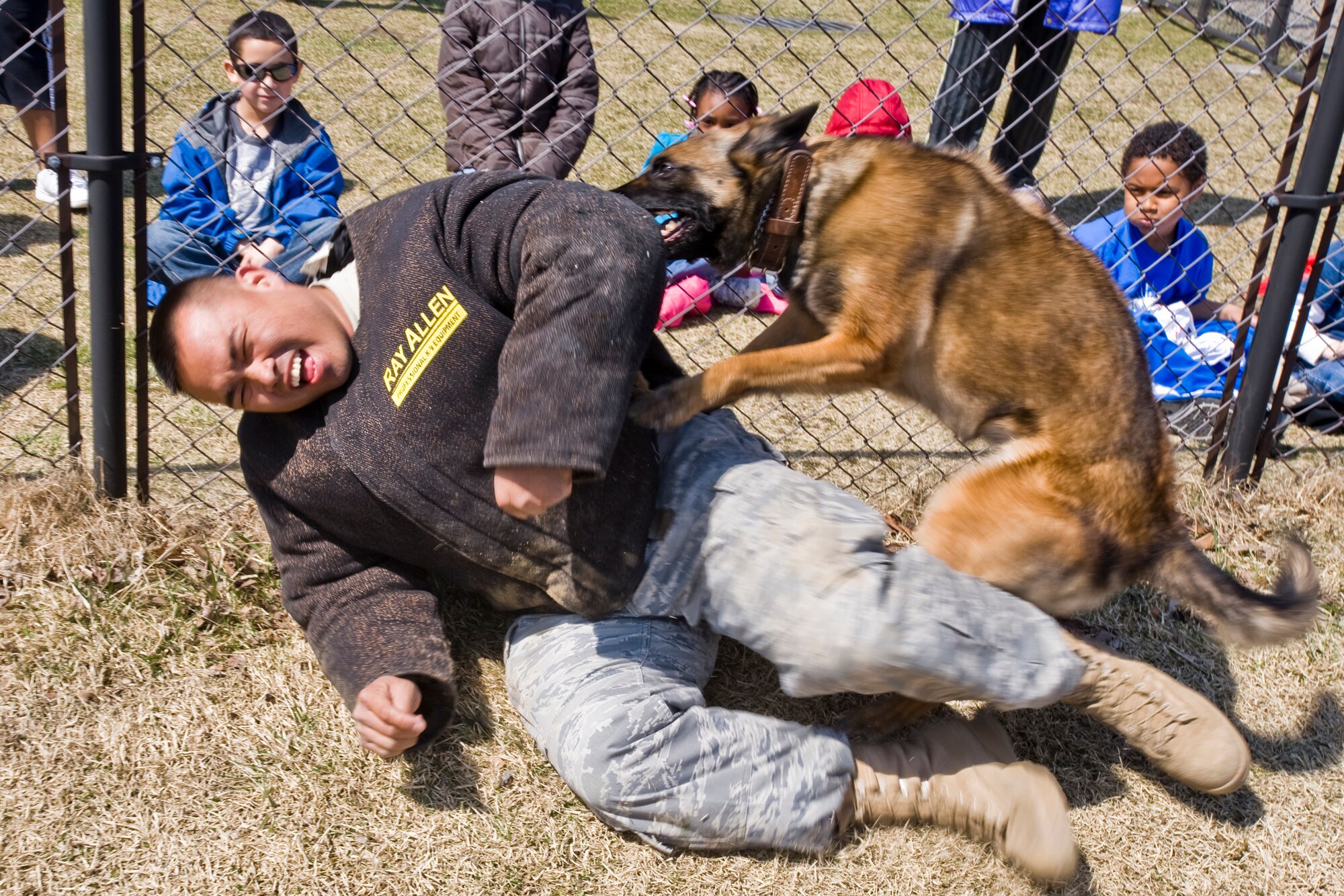 MISAWA AIR BASE, Japan -- 35th Security Forces Squadron military working dog Fifi attacks Staff Sgt. Francis San Luis, 35th SFS dog handler, during a demonstration April 16 at the Cheli School Age facility. The MWD section performed for the school-age children to promote drug prevention and exhibit their ability to protect the base from threats. (U.S. Air Force photo/Senior Airman Jamal D. Sutter)