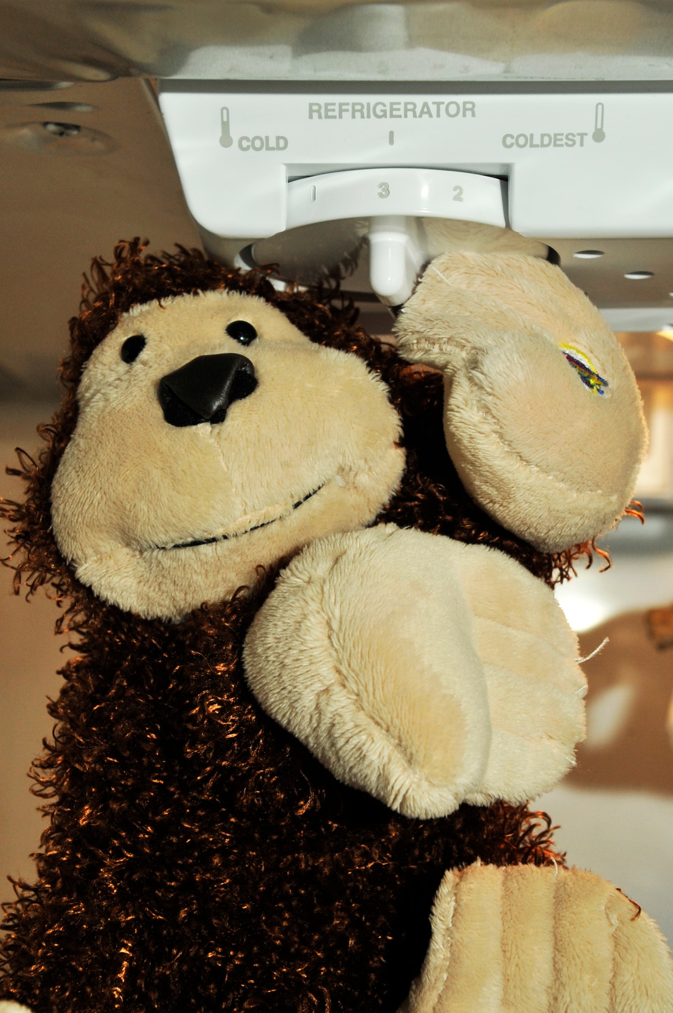 BUCKLEY AIR FORCE BASE, Colo. -- Keep refrigerator temperatures between 37 and 40 degrees to conserve energy. Remember, saving the Earth is easy. It's so easy a monkey can do it.  (U.S. Air Force photo by Staff Sgt. Kathrine McDowell)
