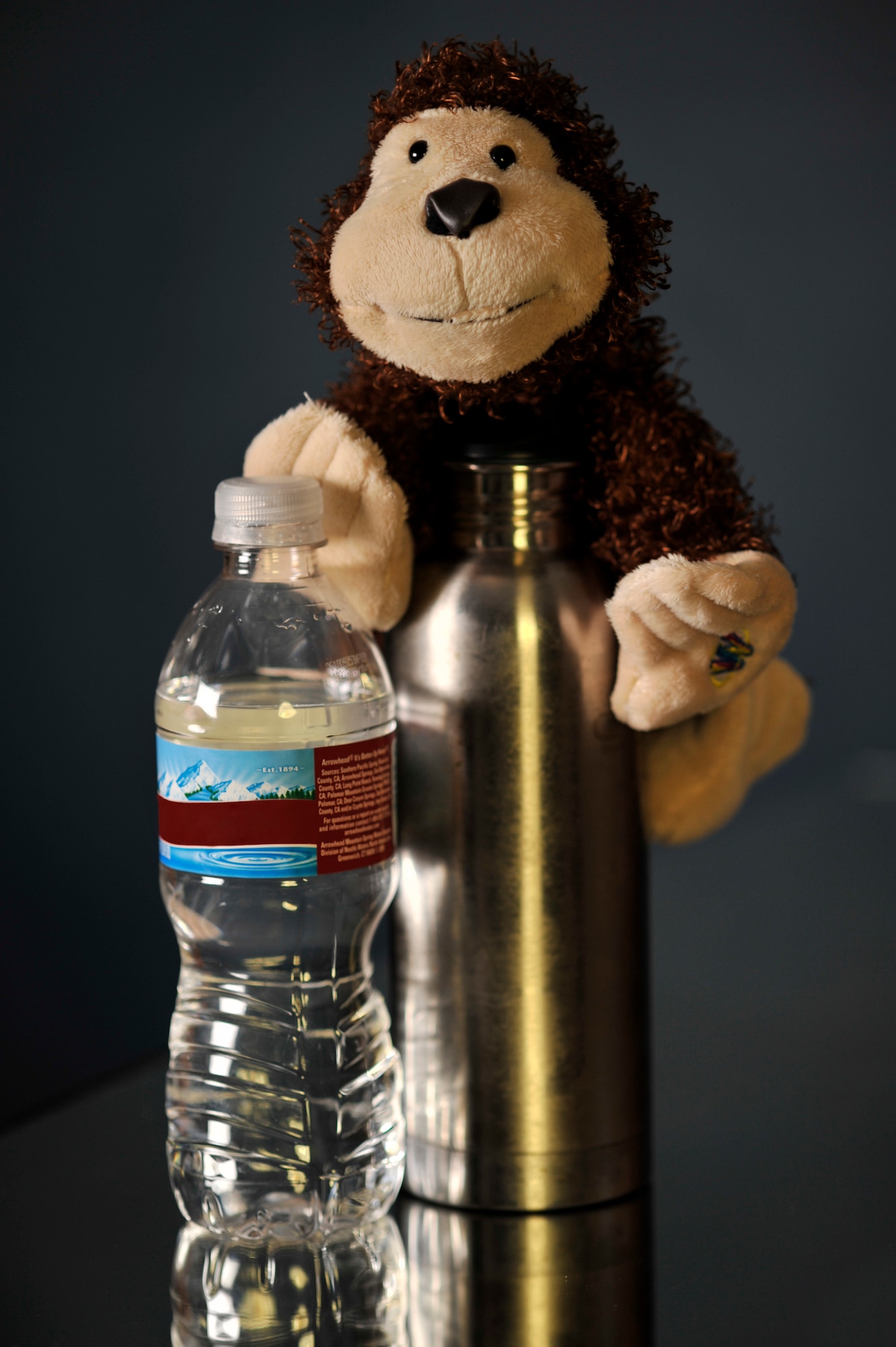 BUCKLEY AIR FORCE BASE, Colo. -- Use a reusable bottle for water like stainless steel containers. It takes 47 millions gallons of oil every year to meet the demand for disposable water bottles. Remember, saving the Earth is easy. It's so easy a monkey can do it.  (U.S. Air Force graphic by Staff Sgt. Kathrine McDowell)