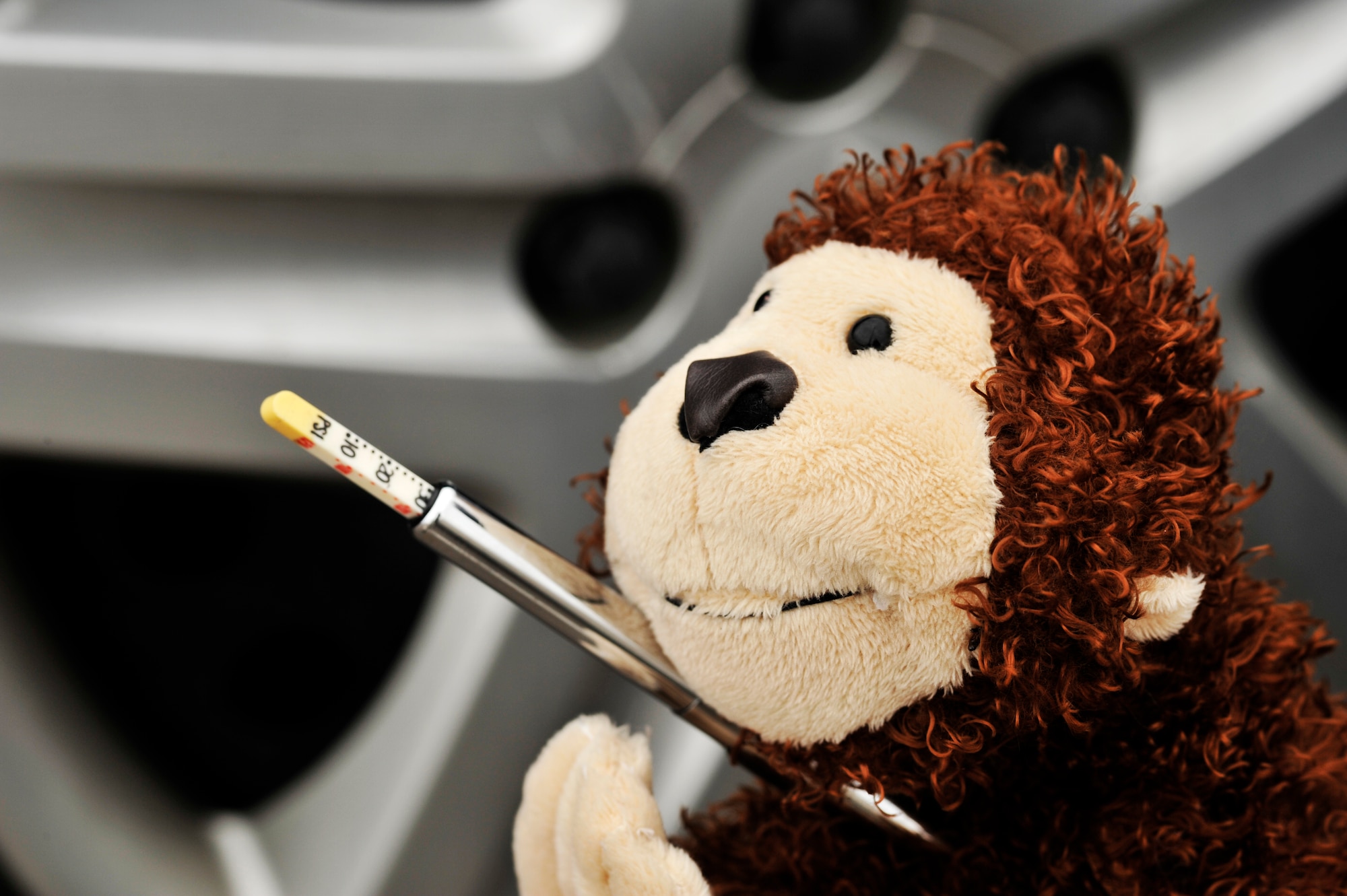 BUCKLEY AIR FORCE BASE, Colo. -- Checking tire pressure regularly helps increase gas mileage and decrease our carbon footprint. Remember, saving the Earth is easy. It's so easy a monkey can do it.  (U.S. Air Force photo by Staff Sgt. Kathrine McDowell)