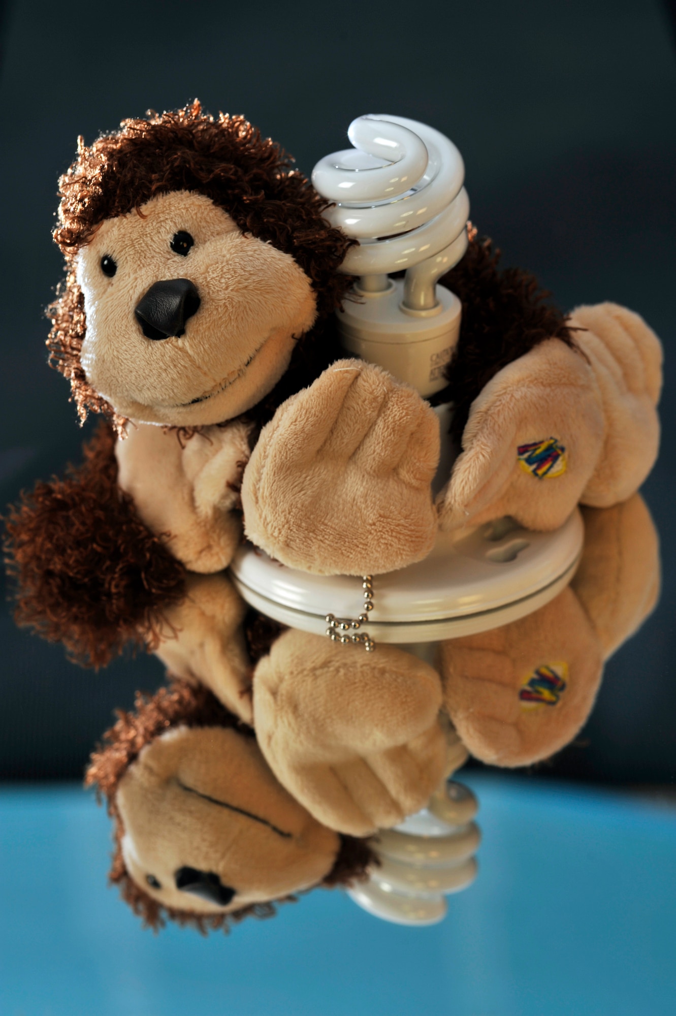 BUCKLEY AIR FORCE BASE, Colo. -- In the spirit of Earth Day April 22, Team Buckley has chosen a "Top 10" list of things to do to decrease our carbon footprint. Replace your incandescent light bulbs with compact fluorescent bulbs. Remember, saving the Earth is easy. It's so easy a monkey can do it.  (U.S. Air Force photo by Staff Sgt. Kathrine McDowell)