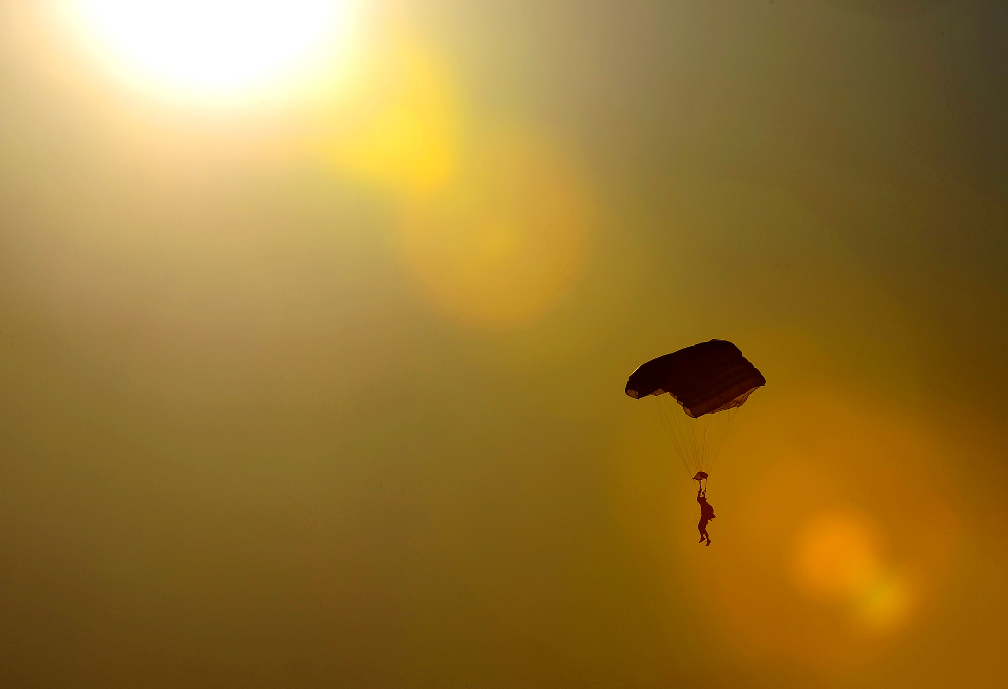 A Navy SEAL drifts to the ground after jumping from a C-17 Globemaster III April 15, 2010, over Fort Picket Maneuver Training Center, Va. The jump was part of joint training exercise with 517th Airlift Squadron members from Elmendorf Air Force Base, Alaska. (U. S.Air Force photo/Staff Sgt. Brian Ferguson)