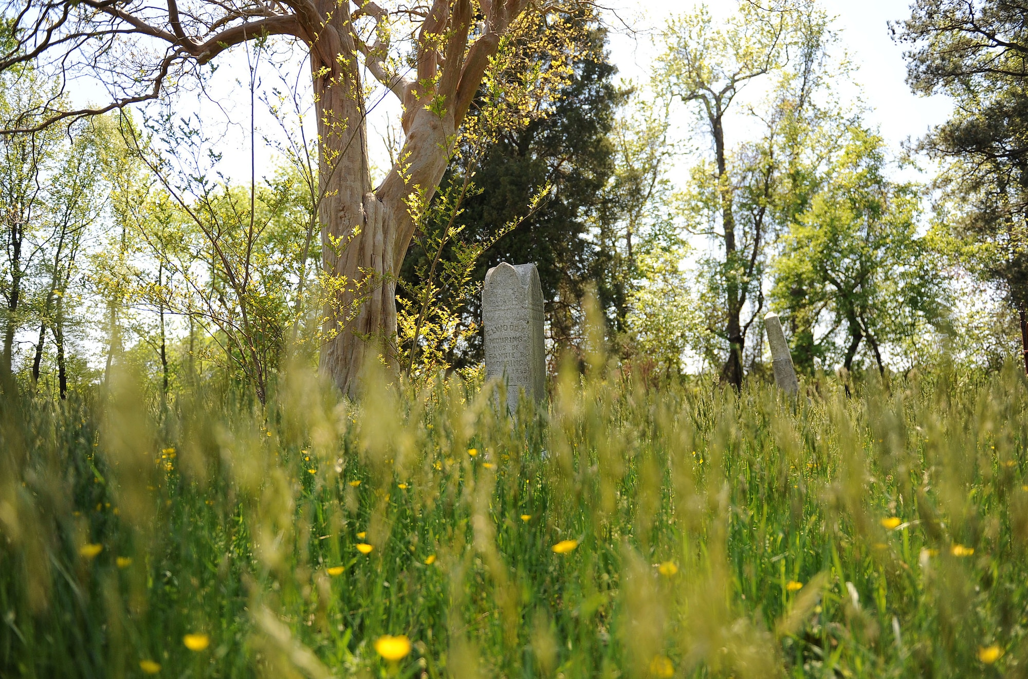 LANGLEY AIR FORCE BASE, Va. -- A headstone is shown in the Big Bethel Cemetery April 15. The cemetery is an integral part of Hampton history and contains family members whose surnames local residents may recognize from road names in the area, including Saunders, Magruder and Morris. (U.S. Air Force photo/Airman Rebecca Montez)