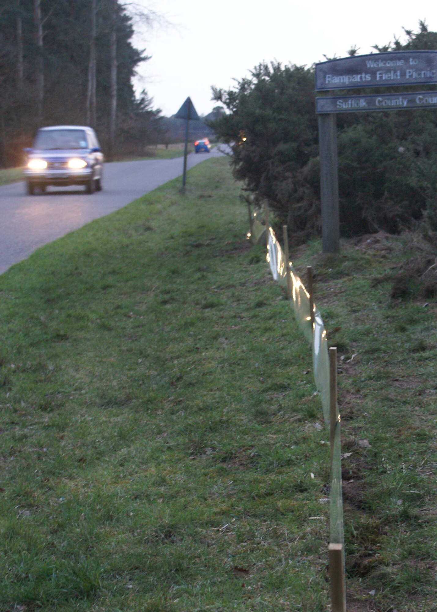 WEST STOW, England -- Each spring in order to prevent toads being killed on busy roads, barriers are erected. The toads are then gathered up and transported safely by volunteers. (U.S. Air Force photo/Judith Wakelam)                 