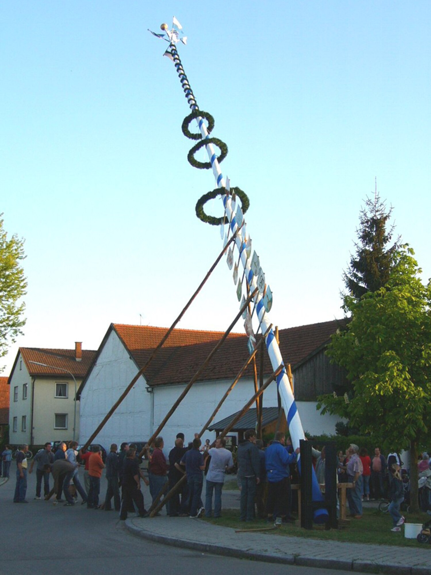 In many villages throughout the KMC, May trees are put up the  
night of April 30 or morning of May 1. (Courtesy photo)