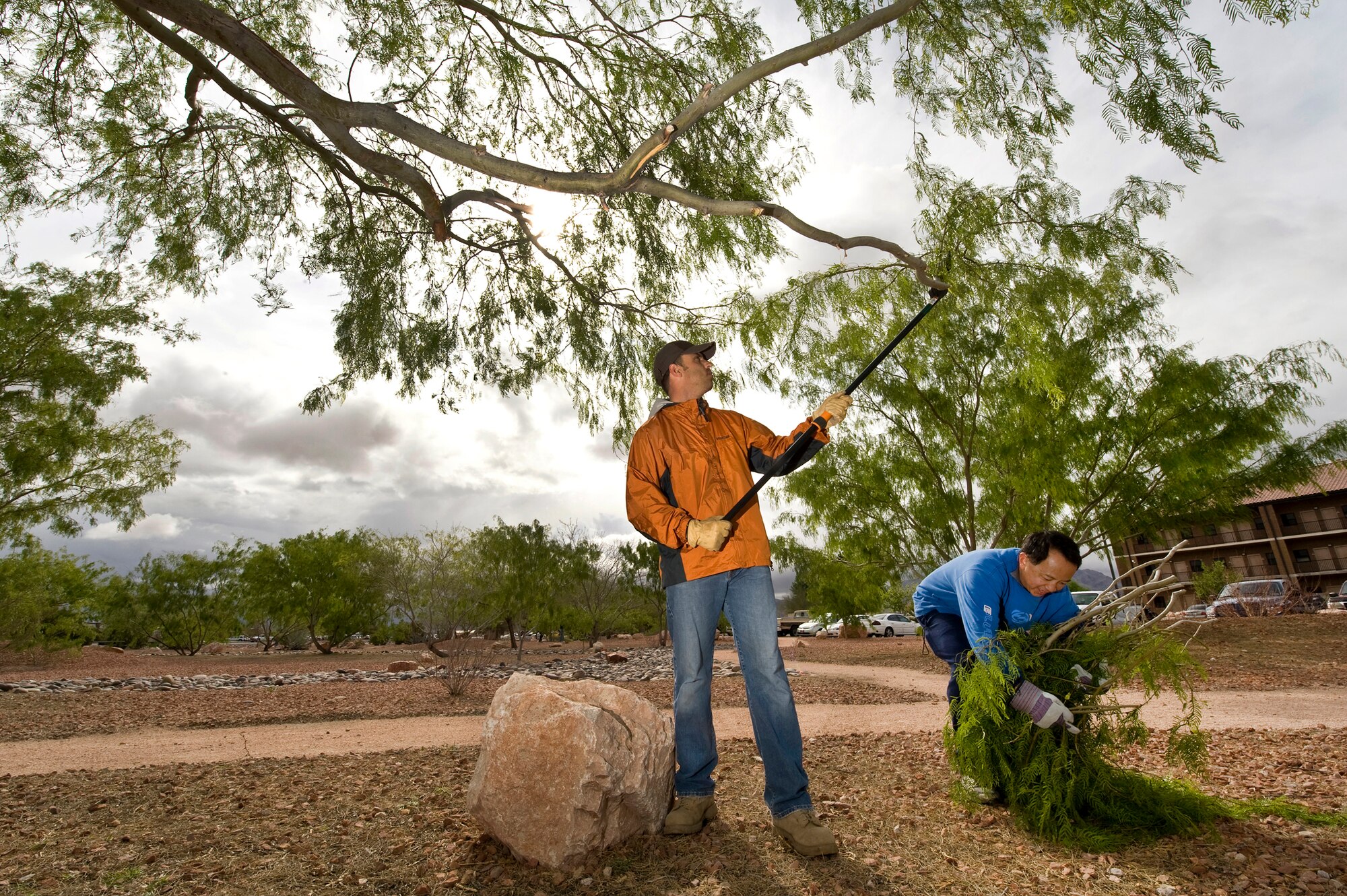 NELLIS AIR FORCE BASE, Nev. -- Rich Stephens (left) and Waldo Pulido, both from the 99th Civil Engineer Squadron Environmental Office participate in Earth Day by pruning a Mesquite tree in the Maj. Gen. Billy McCoy Environmental Grove on Nellis April 22, 2010.  The grove showcases many ways to conserve natural resources in order to create more environmental conservation awareness.  (U.S. Air Force photo by Lawrence Crespo)
