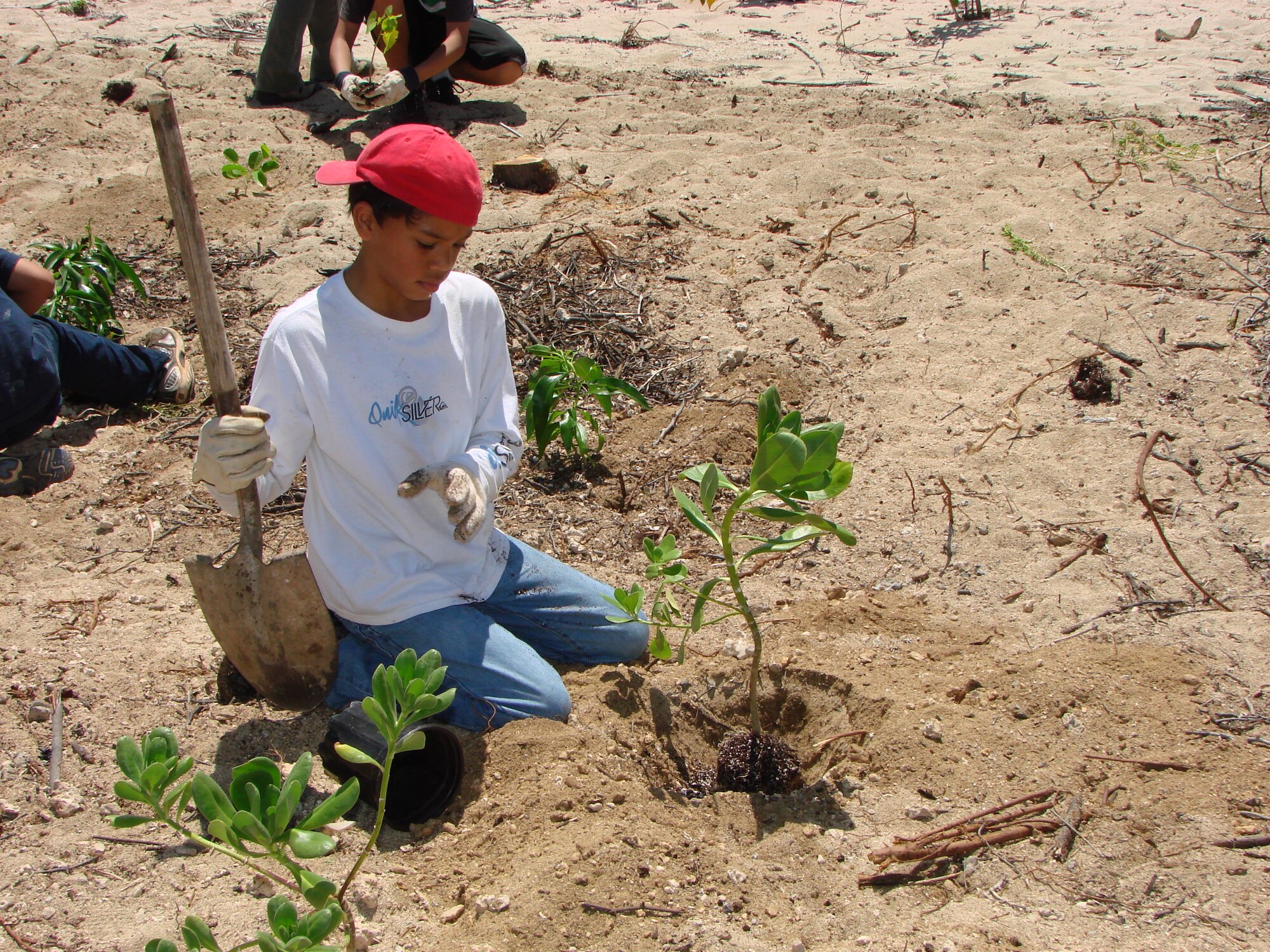 JOINT BASE PEARL HARBOR HICKAM, Hawaii - Kamehameha District Boys Scouts help aid in planting native Hawaiian plants as part of the Trees Across America campaign here, April 15. Trees Across America is part of the celebration of the 40th anniversary of Earth Day. More than 40 Air Force installations participated in the event. (photo/Joel Helm) 
