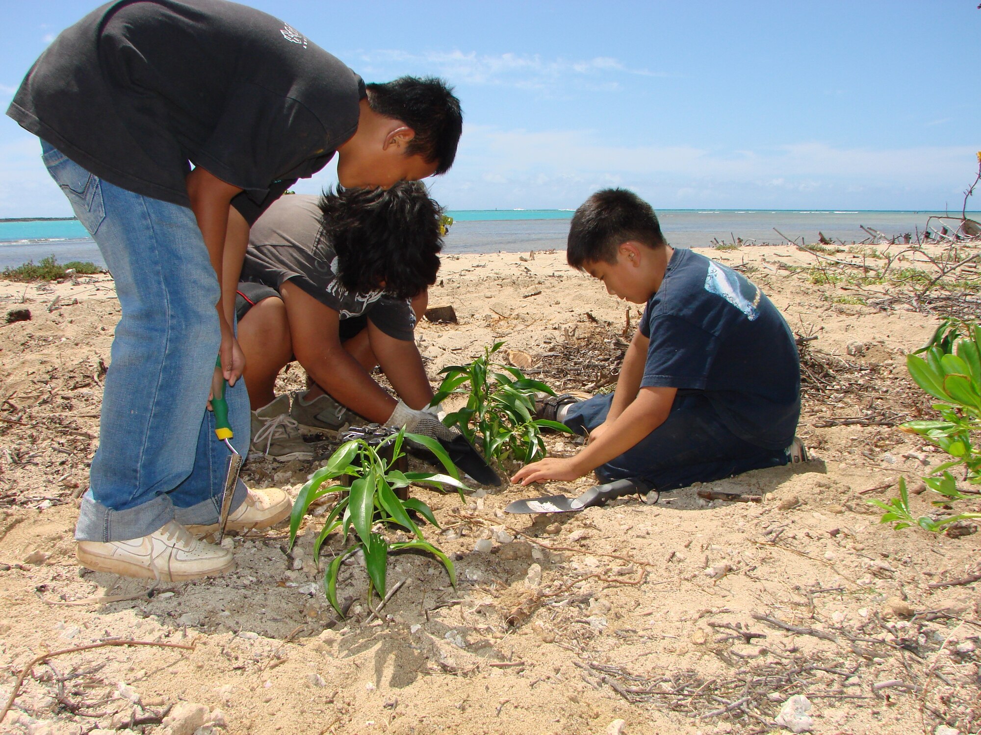 JOINT BASE PEARL HARBOR HICKAM, Hawaii - Kamehameha District Boys Scouts help aid in planting native Hawaiian plants as part of the Trees Across America campaign here, April 15. Trees Across America is part of the celebration of the 40th anniversary of Earth Day. More than 40 Air Force installations participated in the event. (photo/Joel Helm)
