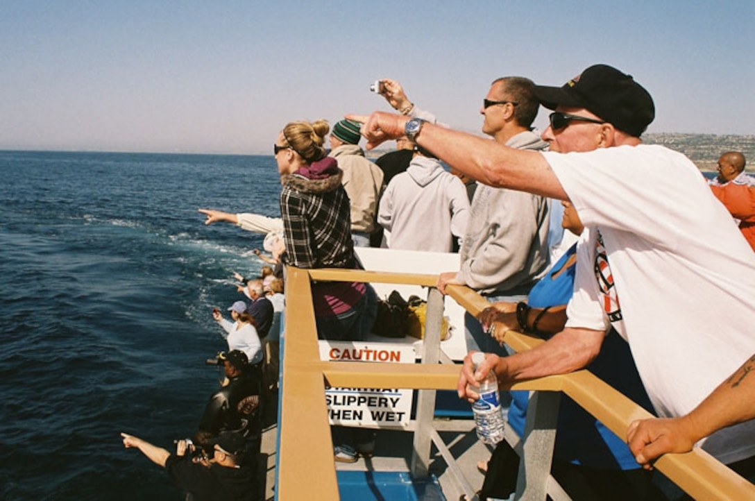 Veterans and family members spot whales, dolphins and seabirds off the coast of Long Beach. (Courtesy photo)