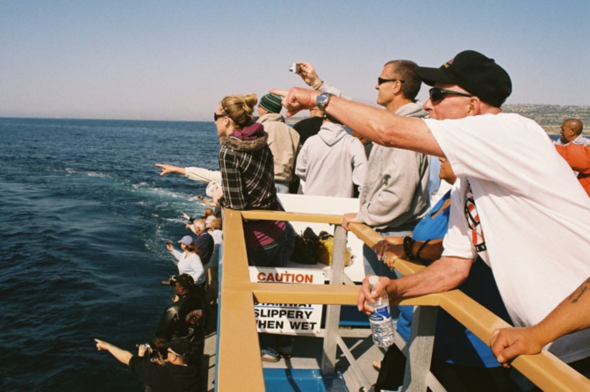 Veterans and family members spot whales, dolphins and seabirds off the coast of Long Beach. (Courtesy photo)