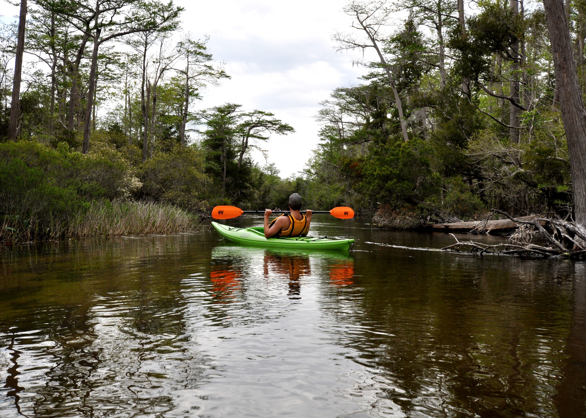 Taylor Tidwell, 96th Civil Engineer Group, takes in the scenery of the Eglin Range and Boiling Creek April 19 during the first-ever kayak tour through the range.  The five and a half mile kayak tour took 10 people down Boiling Creek and the Yellow River deep within the Eglin range.  The scenic tour showed off Eglin’s unique wild and plant life.  It kicked off Eglin’s week-long Earth Day celebration.   (U.S. Air Force photo/Samuel King Jr.)