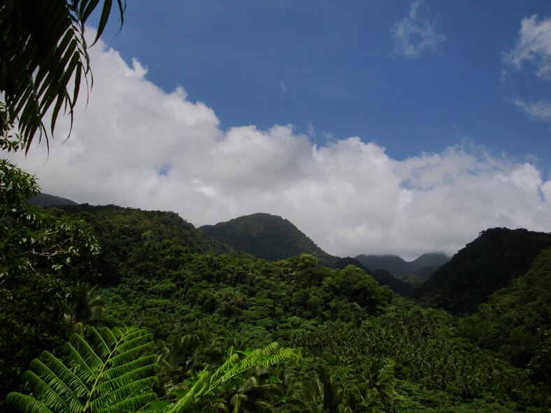 TACLOBAN, Philippines -- The steep mountains are typical of Philippine scenery and made the mission of the six-man crew searching for remains from World War II “missing in action” servicemembers much more difficult. Senior Master Sgt. Thomas Niznik, 23rd Maintenance Operations Squadron superintendent, said the trip was extremely challenging physically, but given the importance of the mission, he would do it again in a heartbeat.  (Photo courtesy of Senior Master Sgt. Thomas Niznik/RELEASED)