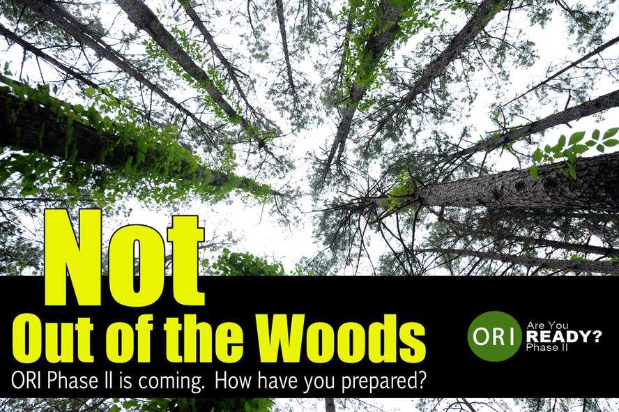 MOODY AIR FORCE BASE, Ga. -- Moody was successful in the Phase I Operational Readiness Inspection relook in March, but we are not out of the woods. The first Phase II Operational Readiness Exercise of 2010 is scheduled to be held June 1 to 4. This will help prepare for the Phase II ORI which is scheduled for mid-2011. (U.S. Air Force photo illustration by Staff Sgt. Elizabeth Rissmiller/RELEASED)