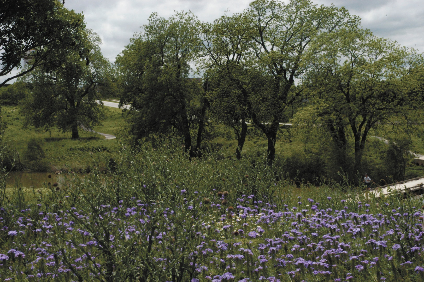 The outdoor center’s adventure trail displays flora and fauna native to South Texas throughout the five 1.5-mile paths. 