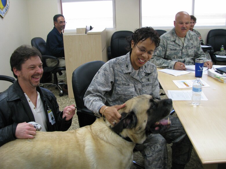 Arnold, a lovable 200-pound English Mastiff therapy dog makes rounds throughout Edwards Medical Clinic every Friday morning. Here, he drops in on Col. Janet Taylor, 95th Medical Group commander, during a staff meeting and received a warm welcome from her. From left: Jon Fishman, Arnold's handler/owner; Colonel Taylor and Cheif Gilmorfe, 95th Medical Group superintendent.  (Air Force photo by Diane Betzler)