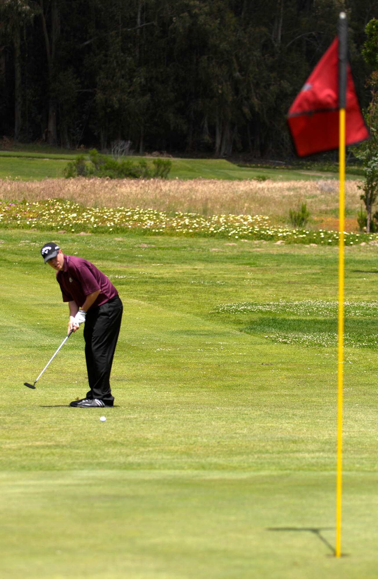 VANDENBERG AIR FORCE BASE, Calif. -- Staff Sgt. Mike Messina, from the 30th Security Forces Squadron, putts the golf ball on the green and toward the hole during the Guardian Challenge golf tournament at the Marshallia Ranch Golf Course here Friday, April 23, 2010. (U.S. Air Force photo/Airman 1st Class Andrew Lee)