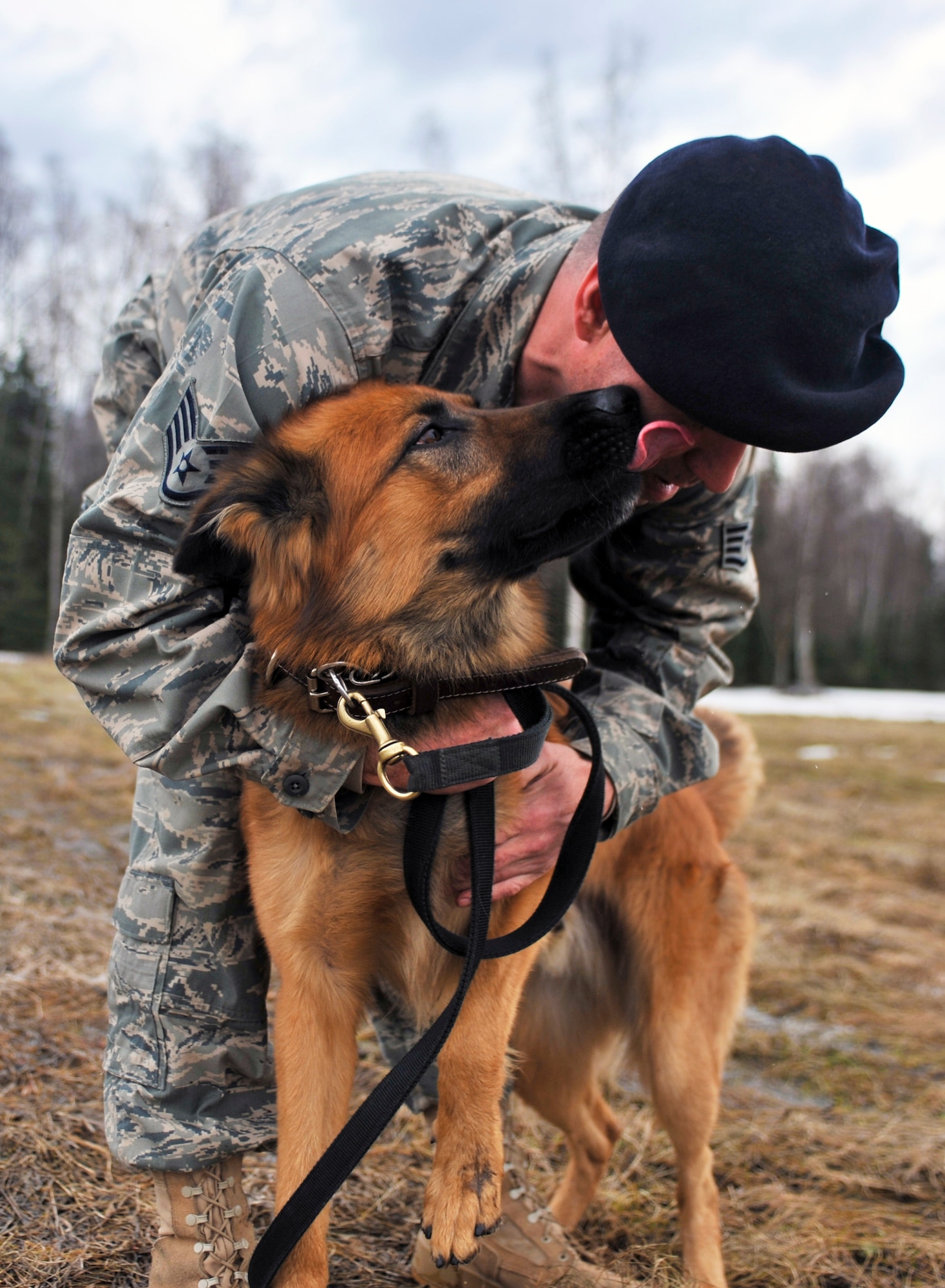 ELMENDORF AIR FORCE BASE, Alaska – Staff Sgt. Terry Mace, 3rd Security Forces Squadron Military Working Dog handler, plays with his dog Palli April 23. Sergeant Mace and Palli recently returned from Camp Taji, Iraq, where they uncovered a large weapons cache, which consisted of two AK-47s, 15 magazines of 7.62 ammunition and a box full of 200 loose rounds of ammunition. (Air Force photo by Airman 1st Class Christopher Gross)