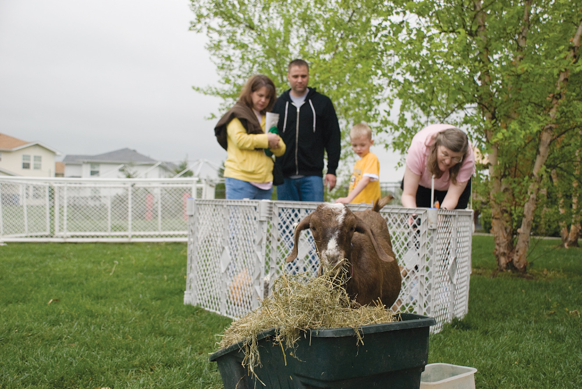 SCOTT AIR FORCE BASE, Ill. -- The 4-H Skill-a-thon included a petting zoo featuring small farm animals such as chickens, rabbits, turkey, and a young “kid” goat. (U.S. Air Force Photo by Steve Berry) 