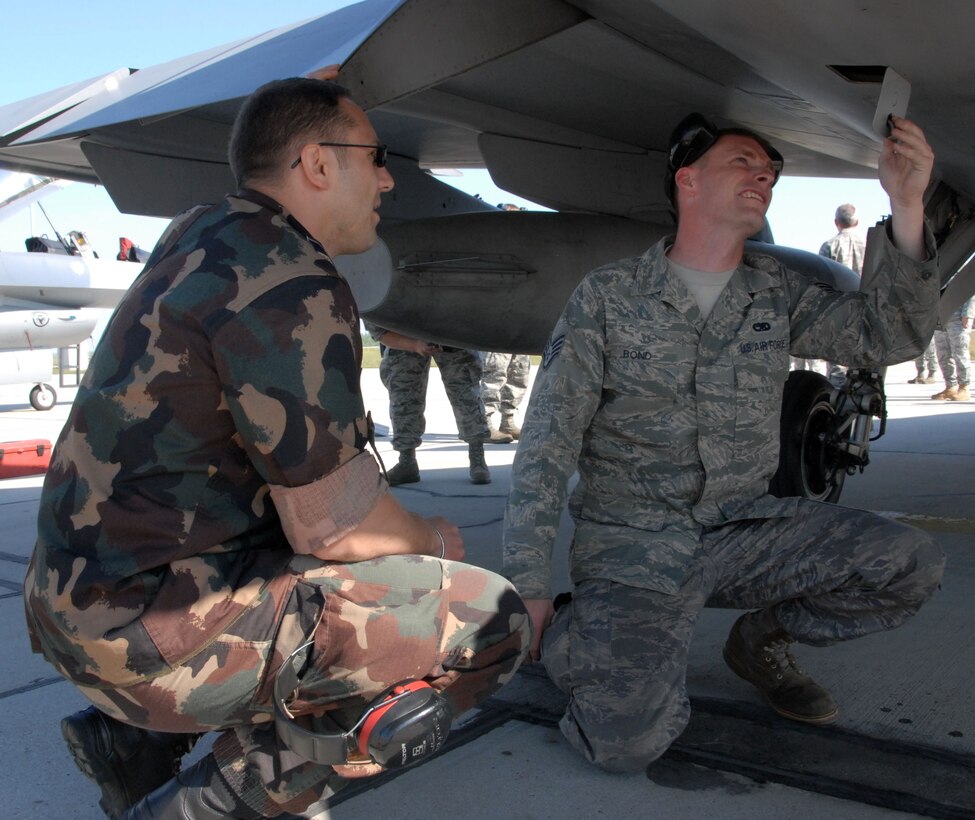 KECSKEMET, Hungary -- A Hungarian Air Force aircraft maintainer and Staff Sgt. Darren Bond, a 178th Fighter Wing F-16 Fighting Falcon crew chief, explore the differences of the Hungarian Air Force JAS- 39 Gripen during the Load Diffuser Exercise 2010 in Kecskemet, Hungary April 29. The exercise aims to sharpen the combat capabilities of the participating forces by conducting a 10 to 15 day flying program.