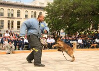 Staff Sgt. Anthony Perkins, 341st Training Squadron,  defends himself as military working dog Pekka prepares to attack during the the "Air Force at the Alamo" event April 26. The event featured a military working dog demonstration and a drill performance by the U.S. Air Force Honor Guard. (U.S. Air Force photo by Robbin Cresswell)
