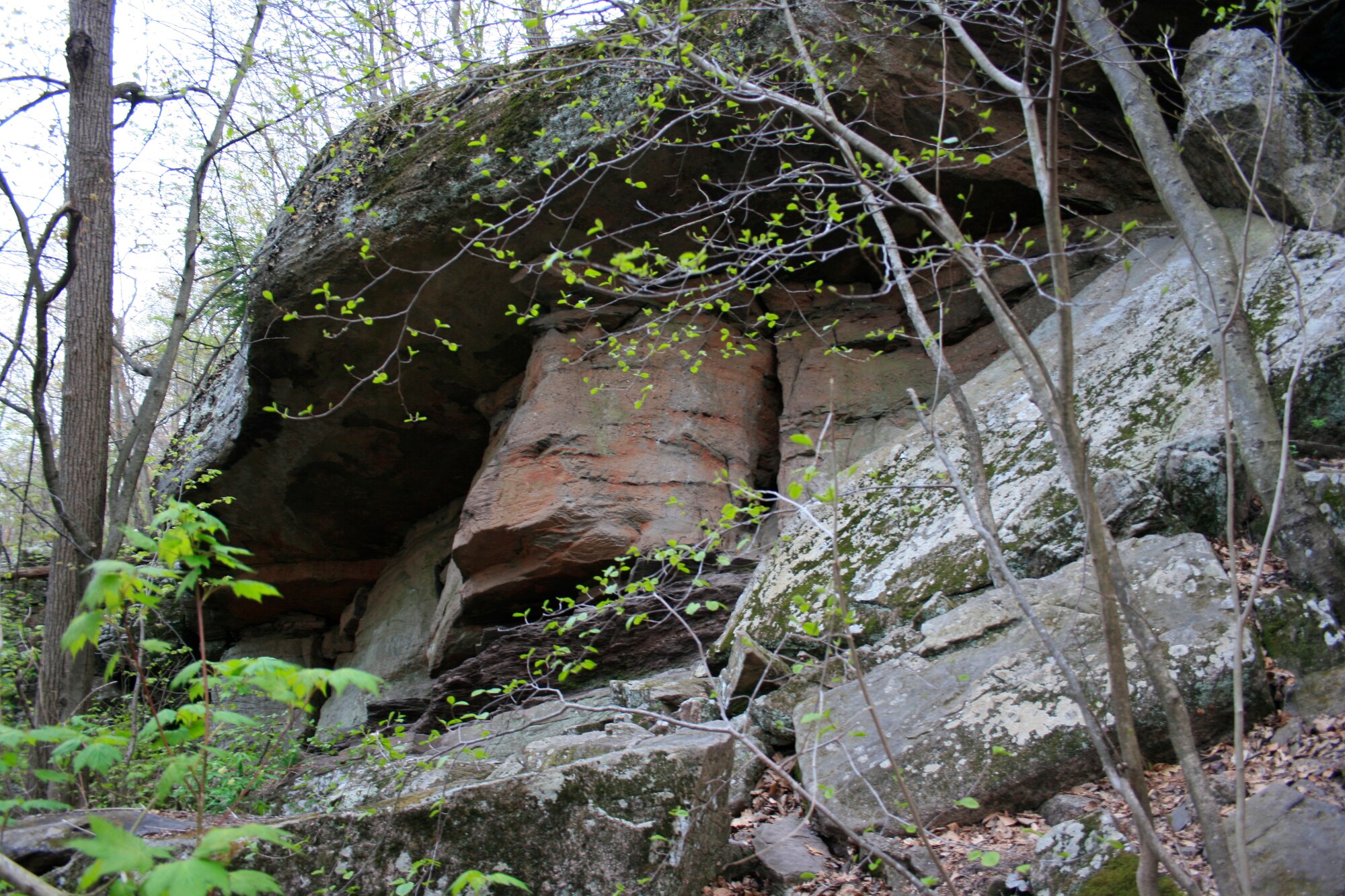 A trek in the Mount Holyoke Range in Western Massachusetts offers beautiful vistas and hidden gems along the way.