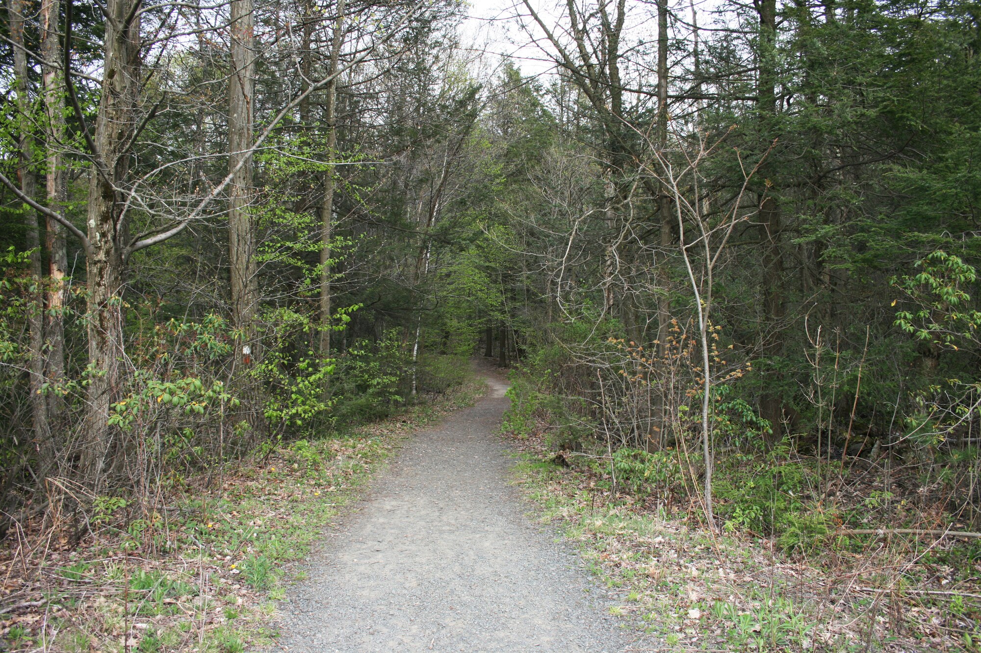 A trek in the Mount Holyoke Range in Western Massachusetts offers beautiful vistas and hidden gems along the way.