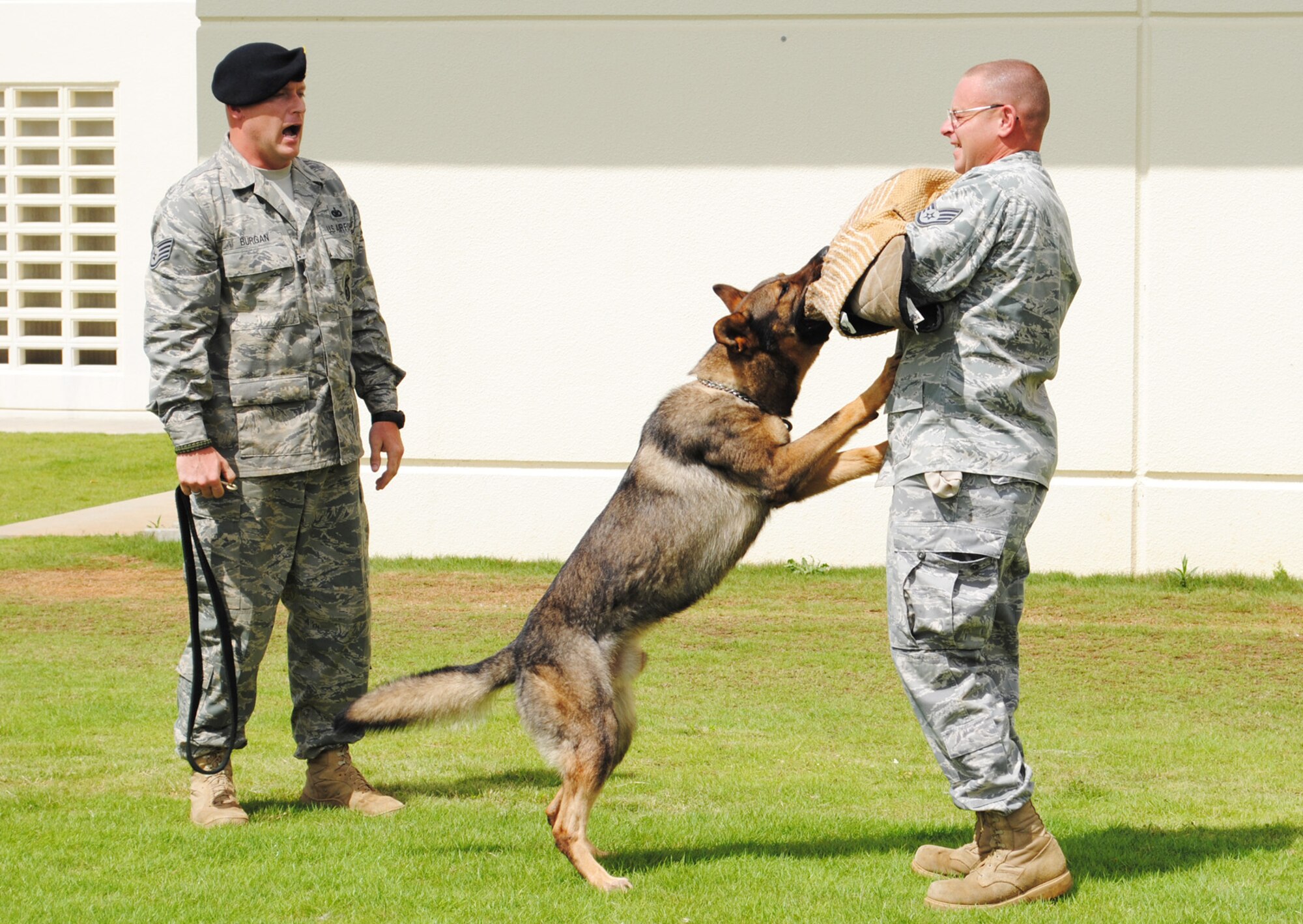 Montgomery, Ala. native, Staff Sgt. Billy Burgan calls his dog, Beny, to immobilize a mock assailant, played by Staff Sgt. Matthew Bogenrief, who hails from Milbank, S.D., during a military working dog demonstration at the opening of the Kadena Base Exchange parking lot July 31. Burgan and Bogenrief are both military dog handlers with the 18th Security Forces Squadron. (U,S. Army/Sgt. 1st Class Jon Cupp)