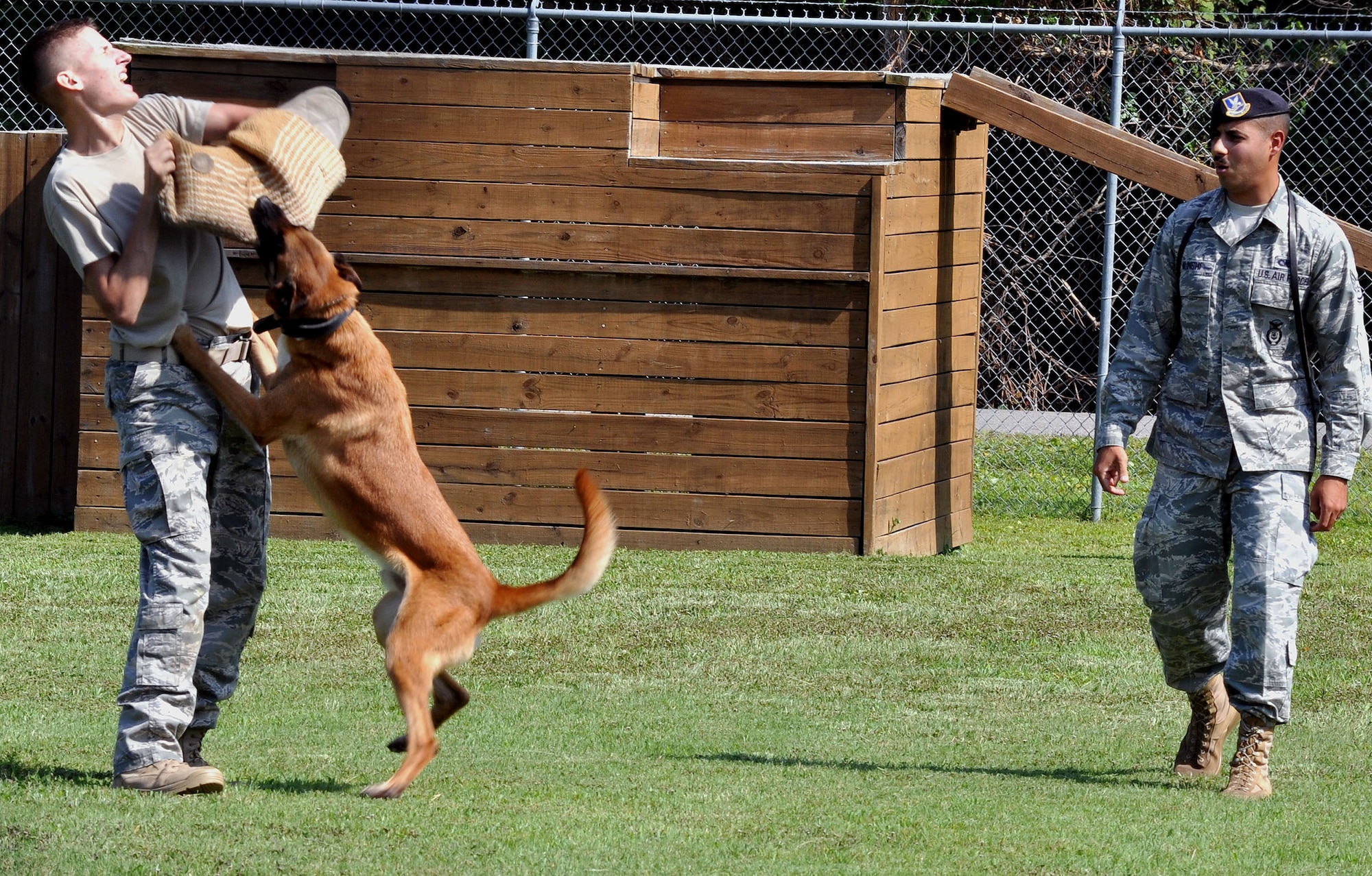 Staff Sgt. Fazel Munschi, right, releases his military working dog, Arton, in a show of force with Staff Sgt. Craig Martin July 26, 2010, at Joint Base Charleston, S.C. Military working dogs are exposed to training regimes which teach both the dog and handler how to deal with various situations such as drug and explosive detection. Sergeants Munschi and Martin are 628th Security Forces Squadron military working dog handlers. (U.S. Air Force photo/Staff Sgt. Shane Ellis)