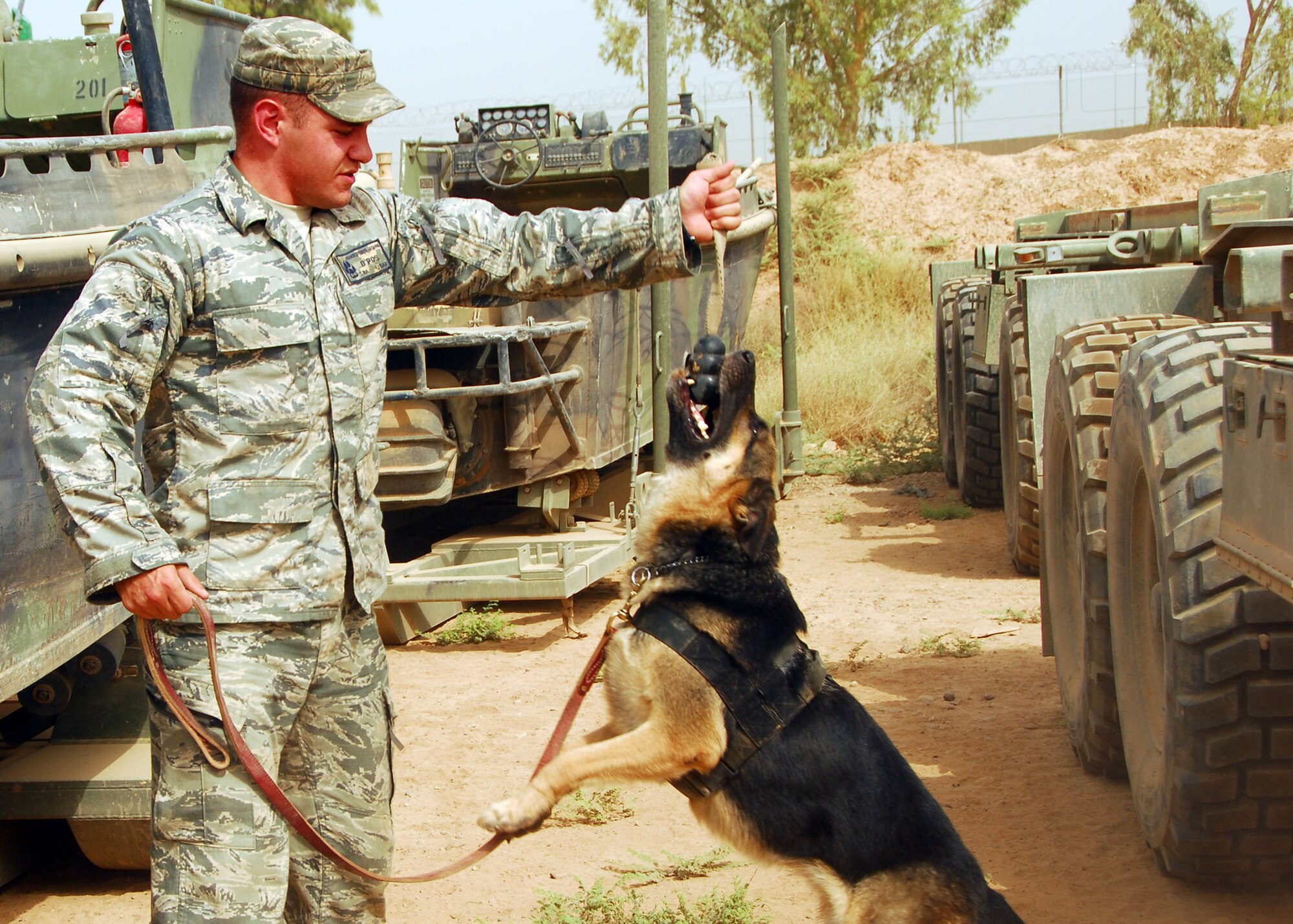 Senior Airman John Makripodis, 332nd Expeditionary Security Forces Group military working dog handler rewards his partner Bertha, with a game of tug of war after for finding an item of interest July 31, 2010 Joint Base Balad, Iraq. Receiving a reward is a way to produce positive behavior in a MWD for a certain action. Airman Makripodis is a native of Pittsburg, Penn., the dog team is deployed from Seymour Johnson Air Force Base, N.C. (U.S. Air Force photo/Senior Airman Marianne E. Lane)