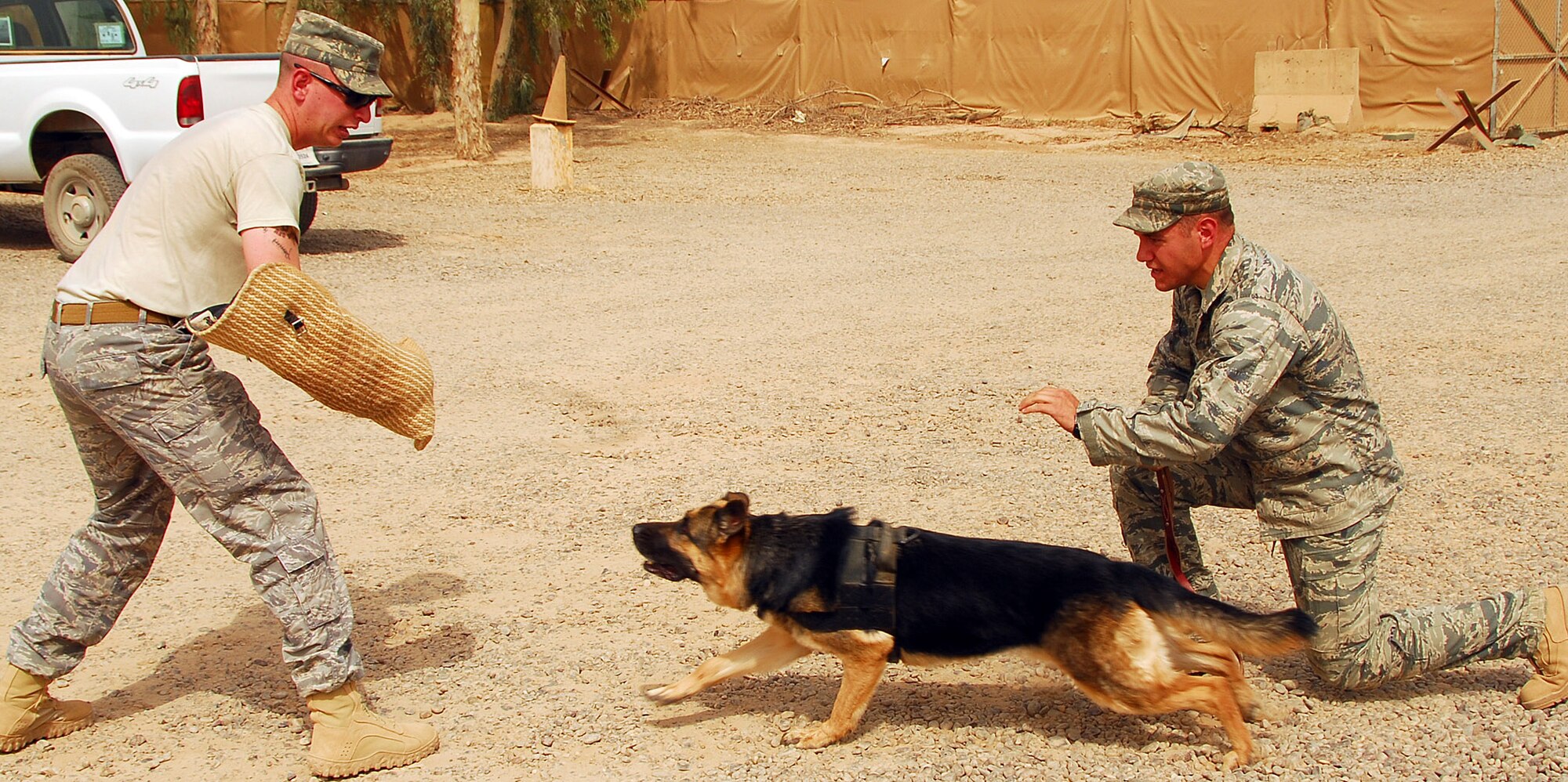 Senior Airman John Makripodis, 332nd Expeditionary Security Forces Group military working dog handler releases Bertha, a MWD, on Staff Sgt. Kristopher Carroll, 332nd ESFG kennel master, while conducting patrol training July 31, 2010, Joint Base Balad, Iraq. Patrol training includes attacking, tackling, and biting if instructed to do so. Training is an important part of keeping MWDs certified so they can perform their duties. Sergeant Carroll is a native of Seekonk, Mass. and is deployed from Travis Air Force Base, Calif., Airman Makripodis is a native of Pittsburg, Penn., the dog team is deployed from Seymour Johnson Air Force Base, N.C. (U.S. Air Force photo/Senior Airman Marianne E. Lane))