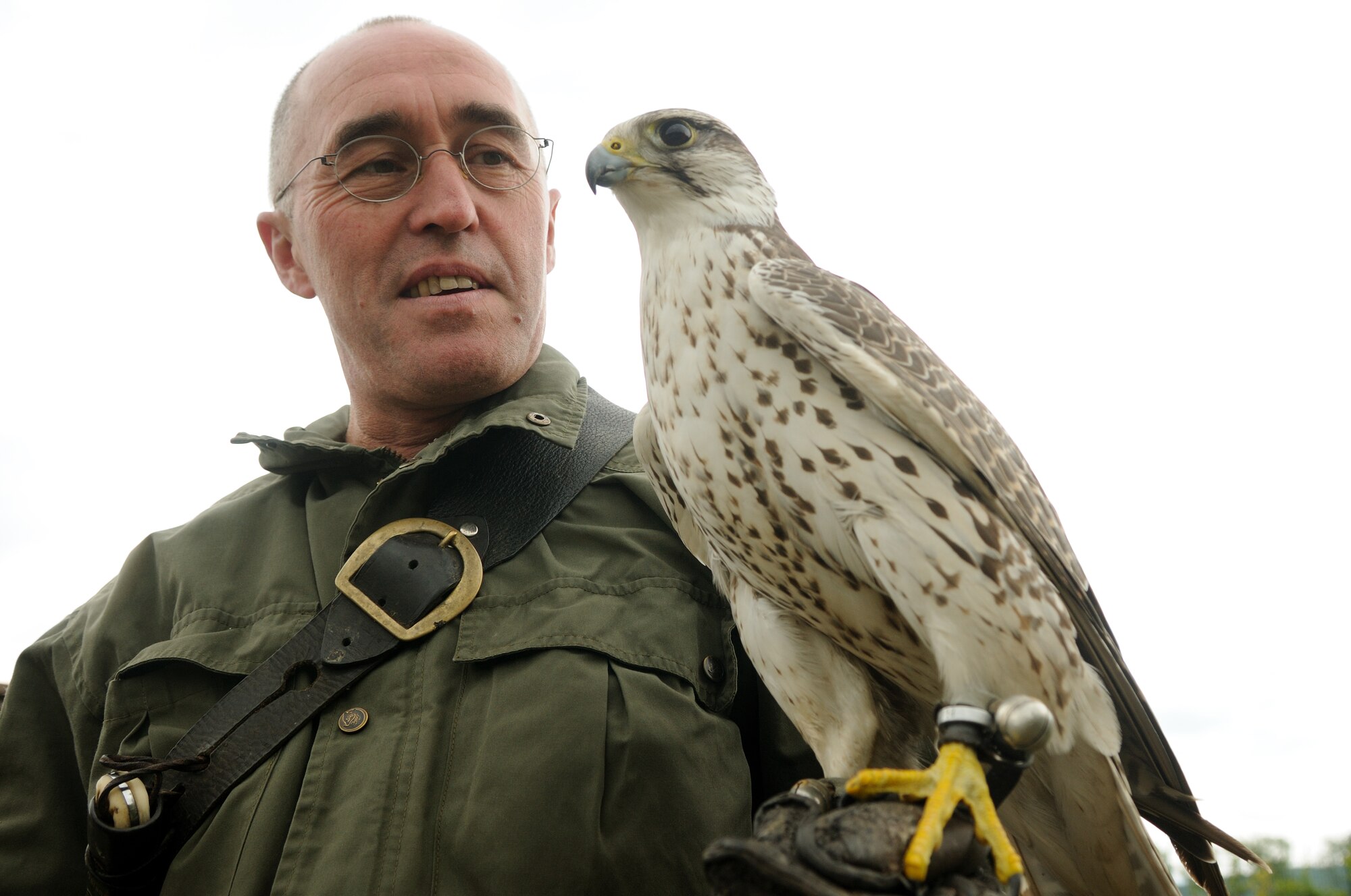 SPANGDAHLEM AIR BASE, Germany – Ronald Leu, 52nd Civil Engineer Squadron base falconer, holds Gina, a five-year-old falcon, July 29.  Gina, a mix of both saker falcon and gyrfalcon breeds, is trained to hunt wildlife near the flightline to help prevent aircraft damage.  (U.S. Air Force photo/Staff Sgt. Logan Tuttle)