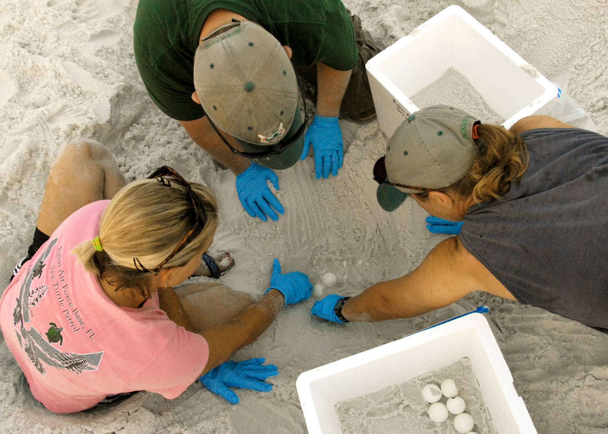(Left to right) Erica Laine, Dusty Varble and Kathy Gault remove sea turtle eggs from their nest Aug. 2, 2010, on a beach at Eglin Air Force Base, Fla. The eggs will be transported to the east coast so the turtles can be released without the threat of encountering oil from the spill in the Gulf of Mexico. Ms. Laine, Mr. Varble and Ms. Gault are 96th Civil Engineer Squadron biologists. (U.S. Air Force photo/Samuel King Jr.)