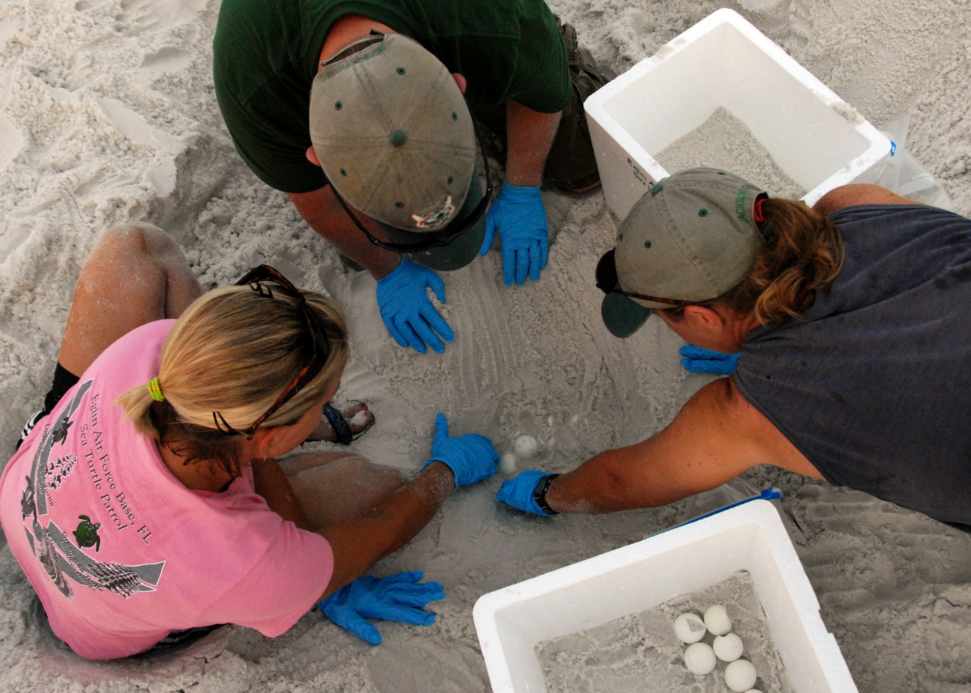 (Left to right)  Errica Laine, Dusty Varble and Kathy Gault, 96th Civil Engineer Squadron biologists, carefully remove sea turtle eggs from their nest on one of Eglin Air Force Base’s beaches Aug. 2.  The eggs will be transported to the east coast so the turtles can be released without the threat of encountering oil from the spill in the Gulf of Mexico.  The group of biologists removed 117 eggs from the nest on this day and more than 300 eggs have been moved so far.  (U.S. Air Force photo/Samuel King Jr.)