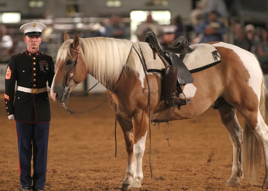 Gunnery Sgt. Charlie  W. Collins, with General Support Motor Transportation Company, 6th Motor Transport Battalion, 4th Marine Logistics Group, provides a rider-less horse exhibition as part of the unit’s support to the 51st annual Paris Rodeo  Aug. 7.  This year’s rodeo was dedicated to Sgt. Hoskins, a Paris resident who lost his life during combat operations in Afghanistan Aug. 6, 2009.  When organizers were struggling to find military support for the event, the Marines of the 6th Motor Transport Battalion answered the call.  “We couldn’t have asked them to be any more cooperative,” rodeo organizer Ray McCranie said of the Marines’ support.