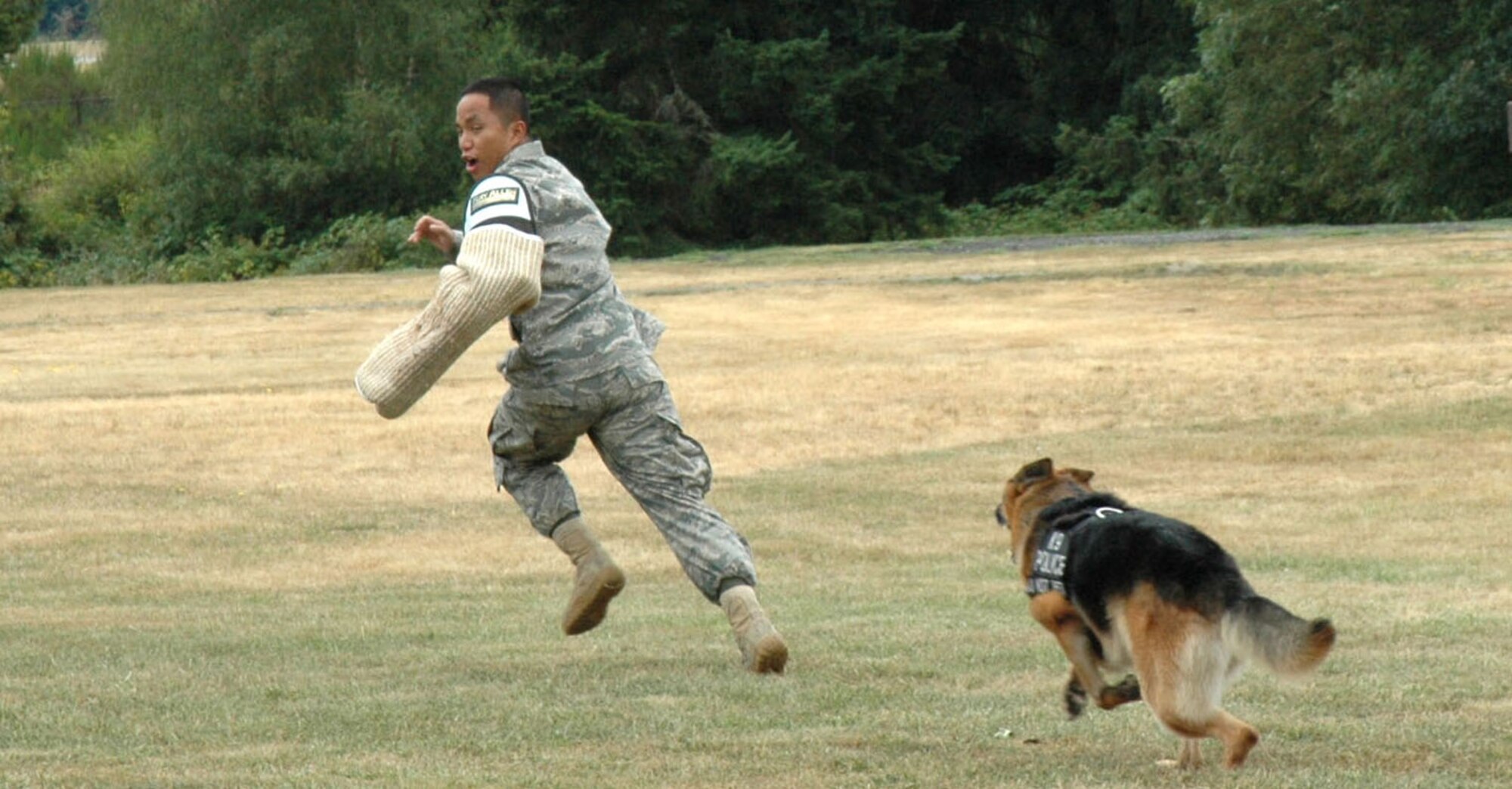 JOINT BASE LEWIS-MCCHORD, Wash., - Staff Sgt. Janno Adelan, a K-9 handler with the 62nd Security Forces Squadron here, performs a military working demonstration with Tomy, a patrol and explosives detection dog, at the 446th Airlift Wing Family Day.  Reservists and their families enoyed the annual event with food, activities, and music on Aug. 7.