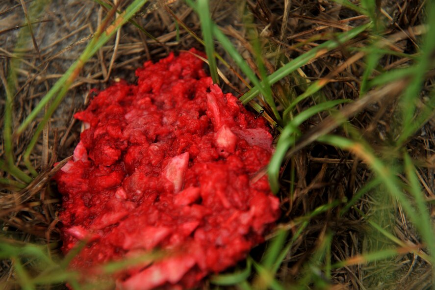 MOODY AIR FORCE BASE, Ga. -- Simulated pieces of body parts lay in the grass during training for the search and recovery team here Aug. 6. The purpose of this training is to ensure the SAR team members can effectively respond to aircraft crashes with casualties. (U.S. Air Force photo by Airman 1st Class Joshua Green/RELEASED)