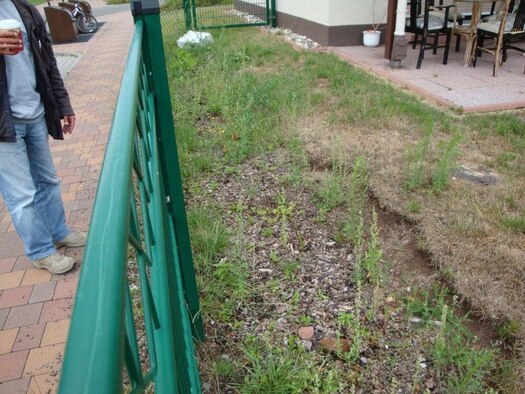 Dead grass stands and pot holes still waiting water and filling in the yard of a base house in the Kaiserslautern Military Community housing area. Recently, during weekly exterior inspections, it has been noticed that some residents are not keeping their homes and yards up to standard. One such area where residents are not adhearing to the rules is exterior appearance. (Courtesy photo)