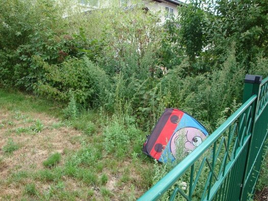 Recently, during weekly exterior inspections, it has been noticed that some residents are not keeping their homes and yards up to standard. One such area where residents are not adhearing to the rules is exterior appearance. (Courtesy photo)