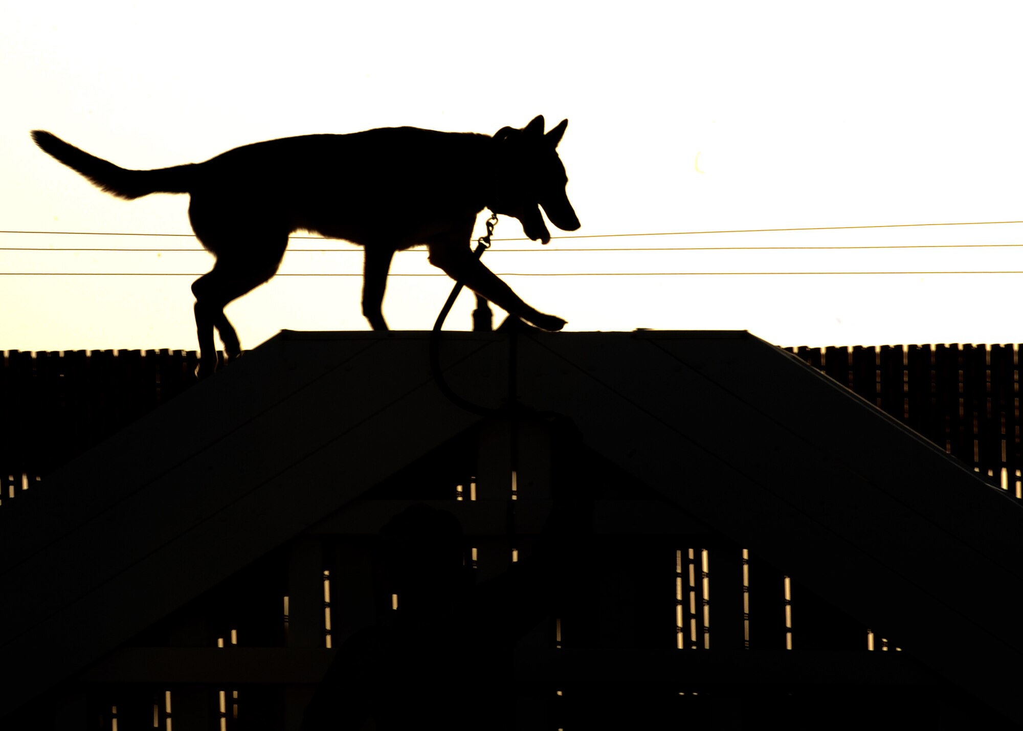 SOUTHWEST ASIA -- Gabe, a 12 year-old Belgian Malinois military working dog, scales part of an obstacle course at an undisclosed air base here July 27, 2010. The course provides regular exercise and training for the dogs. (U.S. Air Force photo by Senior Airman Laura Turner)