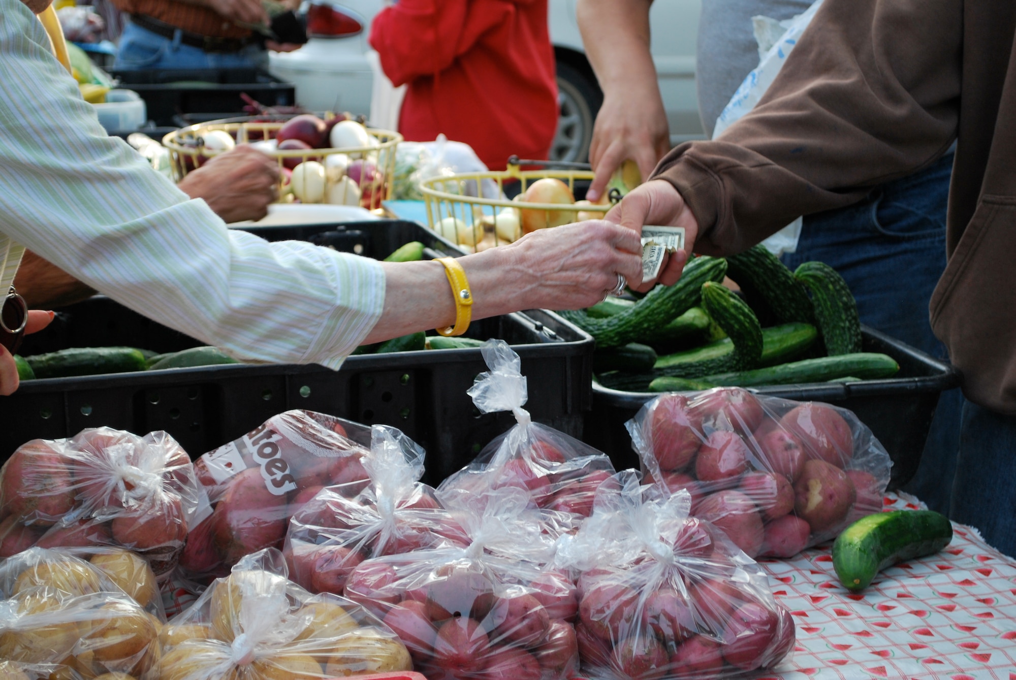 MINOT, N.D. -- Flowers, produce and more were sold in Oak Park at the Minot Farmer’s Market here Aug. 5. Vendors assemble Tuesday, Thursday and Saturday and provide the community an outlet for fresh quality foods and friendly fellowship. (U.S. Air Force photo by 1st Lt. Kidron B Farnell)