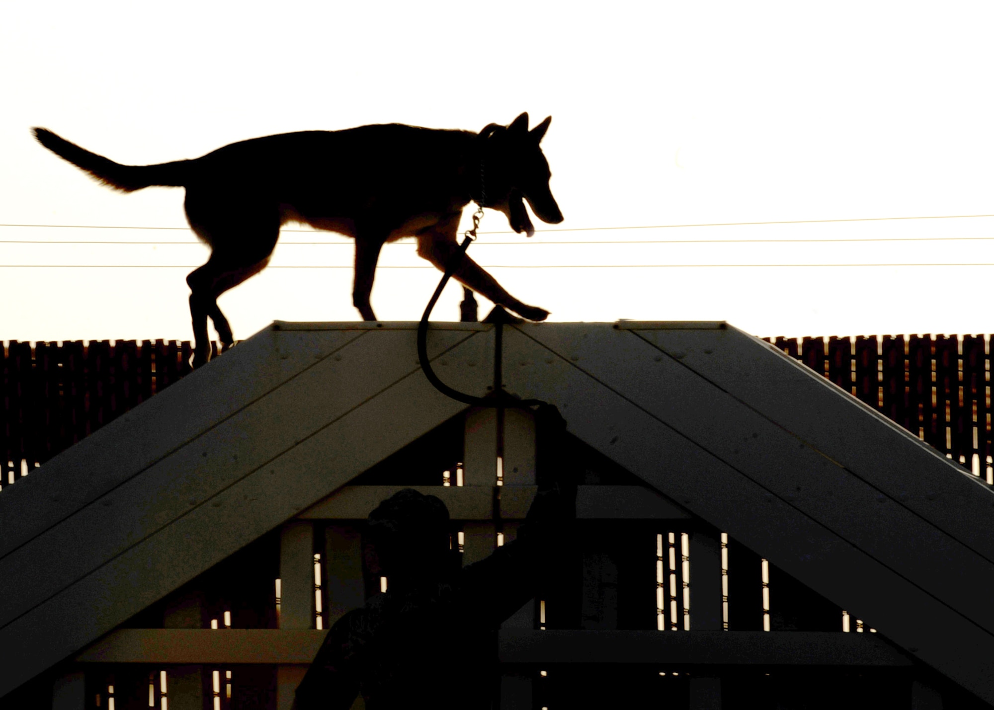 Gabe, a 12-year-old Belgian Malinois military working dog, scales part of an obstacle course July 27, 2010, in Southwest Asia. The course provides regular exercise and training for the dogs. (U.S. Air Force photo/Senior Airman Laura Turner)