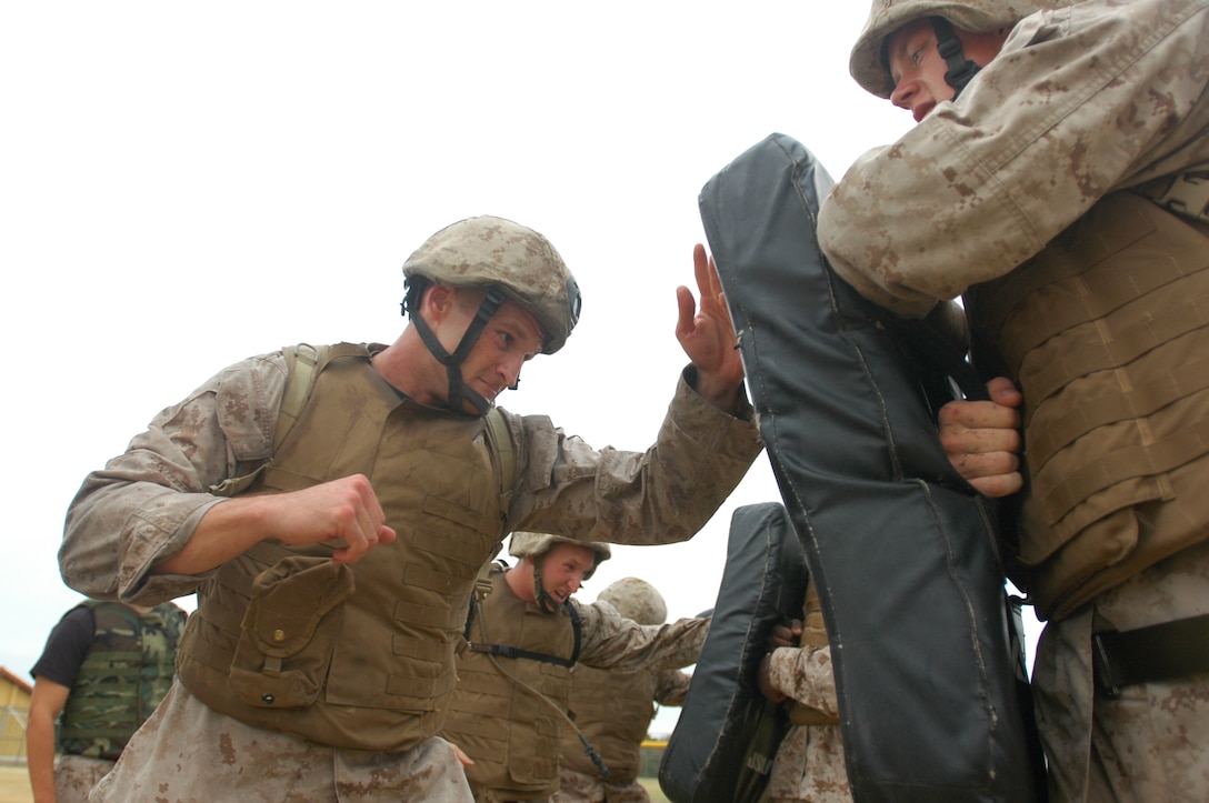 Sgt. Michael Dickinson, forward observer, 3rd Air Naval Gunfire Liaison Company, Marine Forces Reserve, left, performs upper body strikes on squad mate Cpl. Ryan Bottoms, avionics technician, Marine Medium Tiltrotor Squadron-161, right, during a landing zone drill.