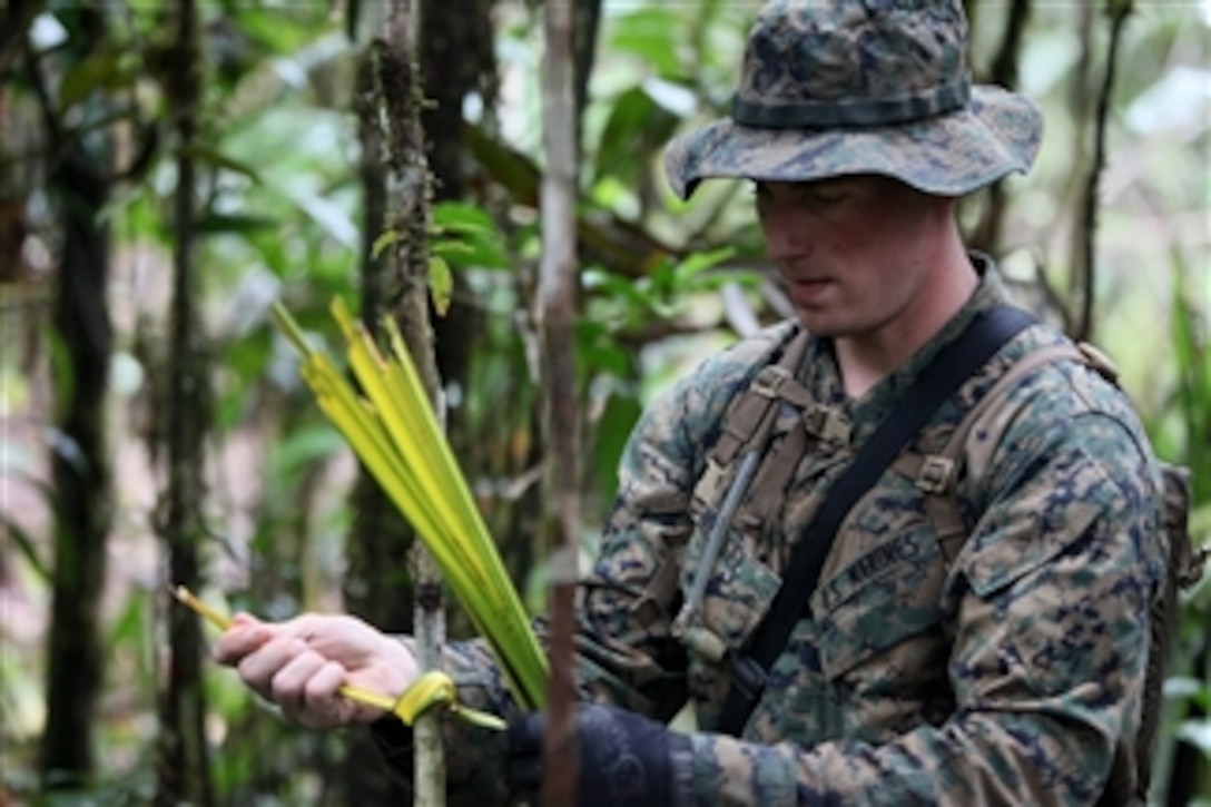 U.S. Marine Corps Sgt. Travis D. Nessel, with 3rd Assault Amphibian Battalion, marks a path with yellow palm tree leafs during jungle warfare training in Colombia on Aug. 3, 2010.  The unit is deployed in support of operation Partnership of the Americas/Southern Exchange 2010, a combined amphibious exercise designed to enhance cooperative partnerships with maritime forces from nine nations.  