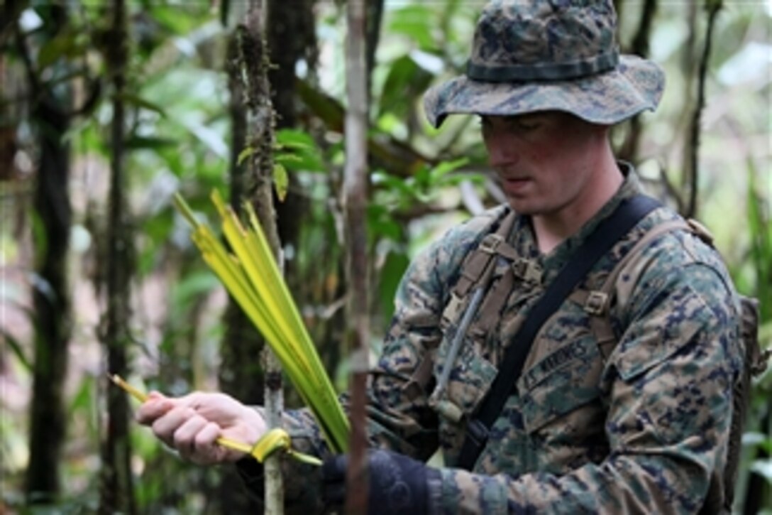 U.S. Marine Corps Sgt. Travis D. Nessel, with 3rd Assault Amphibian Battalion, marks a path with yellow palm tree leafs during jungle warfare training in Colombia on Aug. 3, 2010.  The unit is deployed in support of operation Partnership of the Americas/Southern Exchange 2010, a combined amphibious exercise designed to enhance cooperative partnerships with maritime forces from nine nations.  