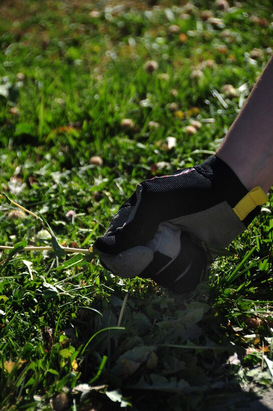 ELLSWORTH AIR FORCE BASE, S.D. -- Airman 1st Class Megan Dix, Air Force Financial Services Center travel technician, pulls weeds out of the grass, Aug. 12. Full-fingered gloves should be worn when pulling weeds to protect hands from thorns. (U.S Air Force photo/Airman 1st Class Anthony Sanchelli)

