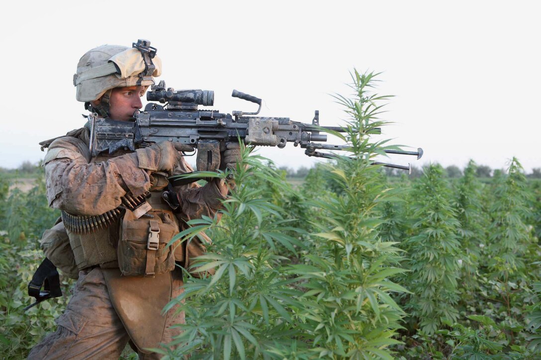 Lance Cpl. Taylor M. Boyd, a squad automatic weapon gunner with Echo Company, 2nd Battalion, 6th Marine Regiment, sights his weapon down a field during a patrol in Marjah, Afghanistan, Aug. 15, 2010. Boyd, 19, is from Ellenboro, N.C.