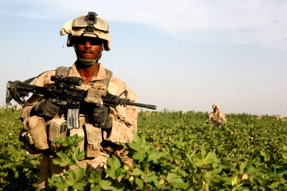 Petty Officer 3rd Class Mark R. Watts, a corpsman with Echo Company, 2nd Battalion, 6th Marine Regiment, patrols through a field during a combat patrol in Marjah, Afghanistan, Aug. 16, 2010. Watts, 29, is from Chicago.