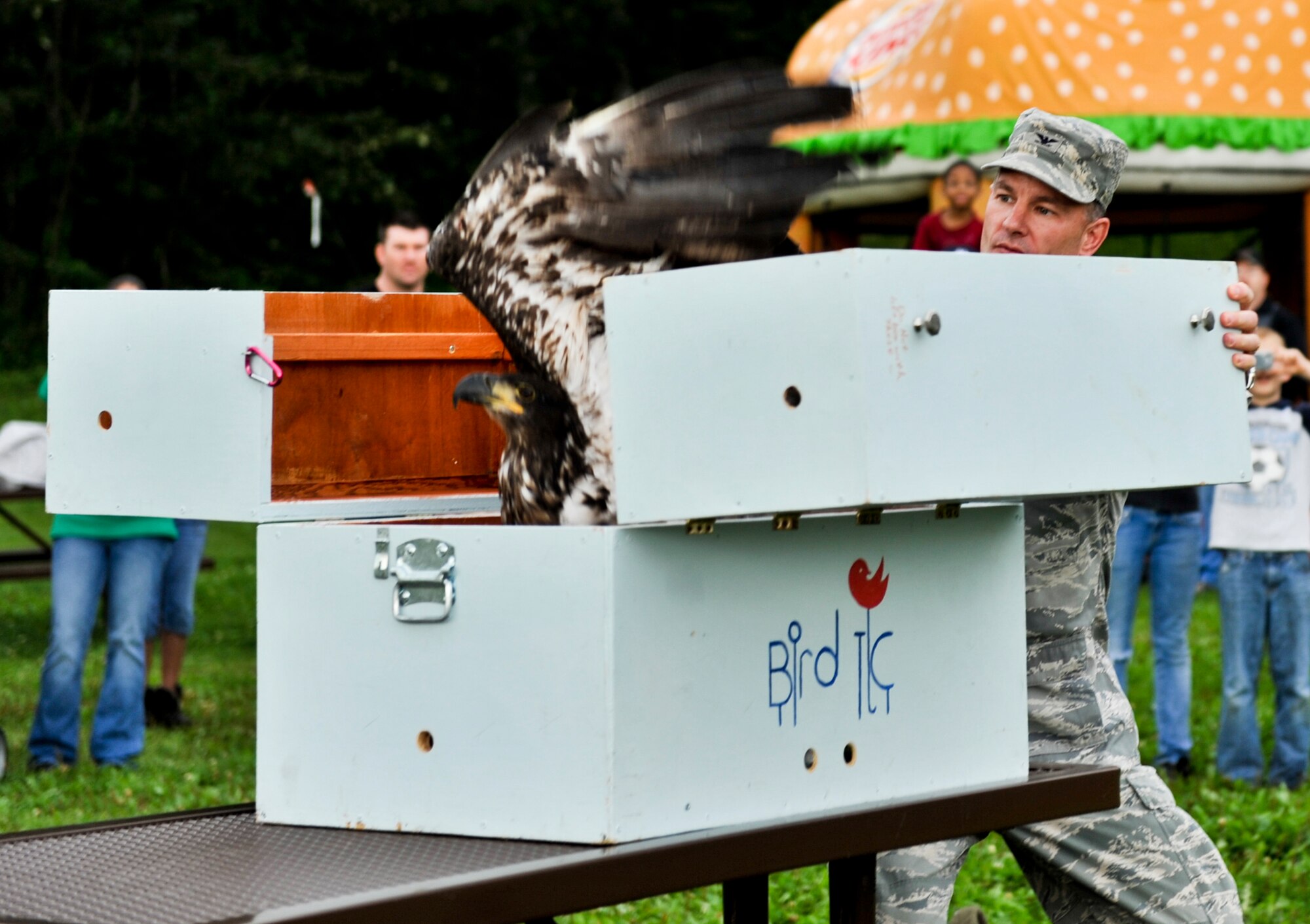 JOINT BASE ELMENDORF-RICHARDSON, Alaska – Col. Eric Overturf, 477th Fighter Group commander, releases an American Bald Eagle back into the wild, Aug. 15. (Photo by Airman 1st Class Christopher Gross/JBER PAO)