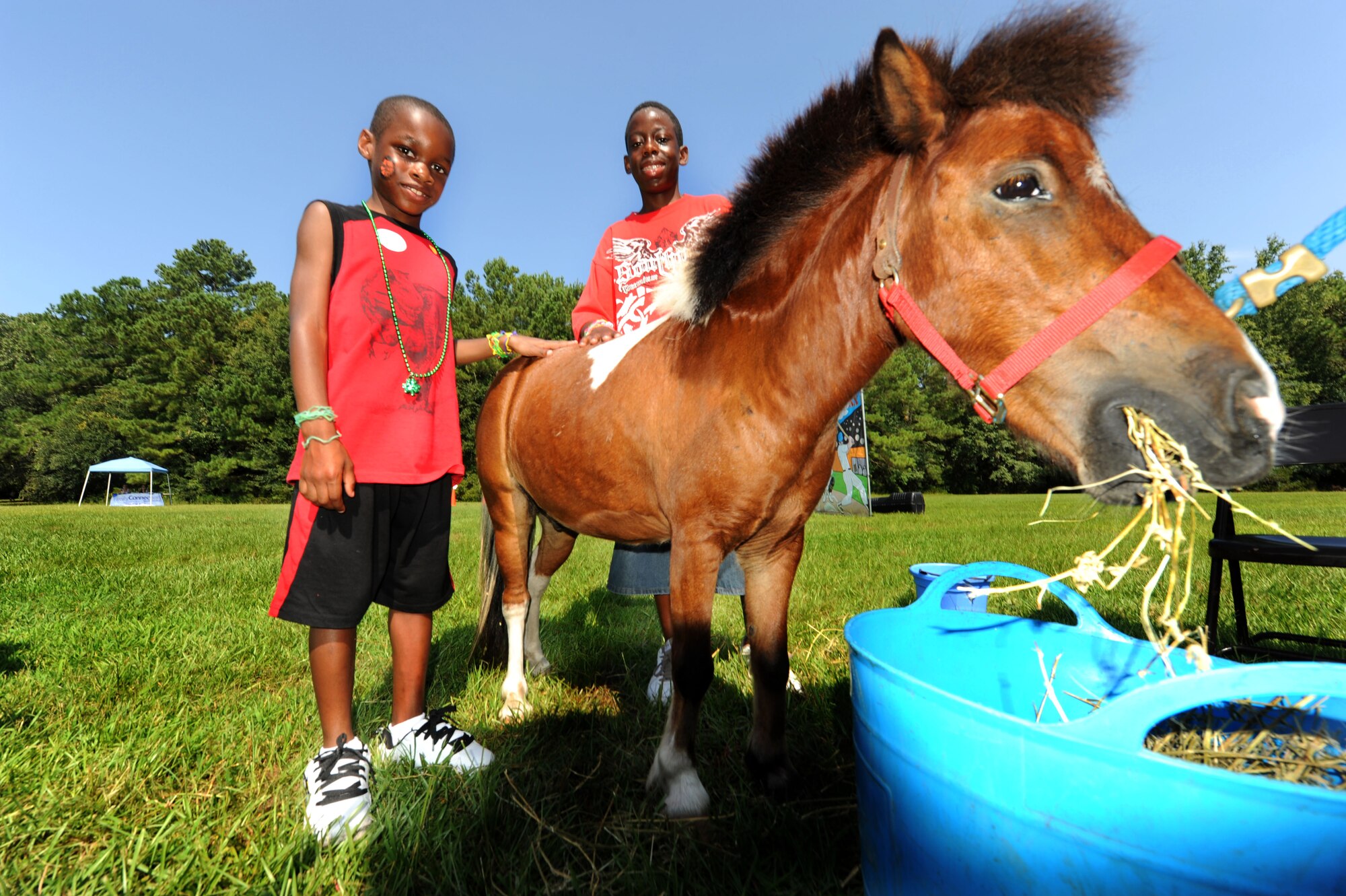 Zyquan Coles and Gary Godley pet Peanut the shetland pony from Blissful Dreams Stardust Horse Farm at the base picnic grounds on Joint Base Charleston, S.C., Aug. 13, 2010. Blissful Dreams uses the bond between humans and animals to serve as a therapeutic experience for children and adults to build balance, confidence and muscle while riding and caring for the horses. Zyquan was a guest of Gary, who is the son of Tech. Sgt. David Godley who is a communication navigation maintenance instructor with the 437th Maintenance Operations Squadron. (U.S. Air Force Photo/Airman 1st Class Lauren Main)
