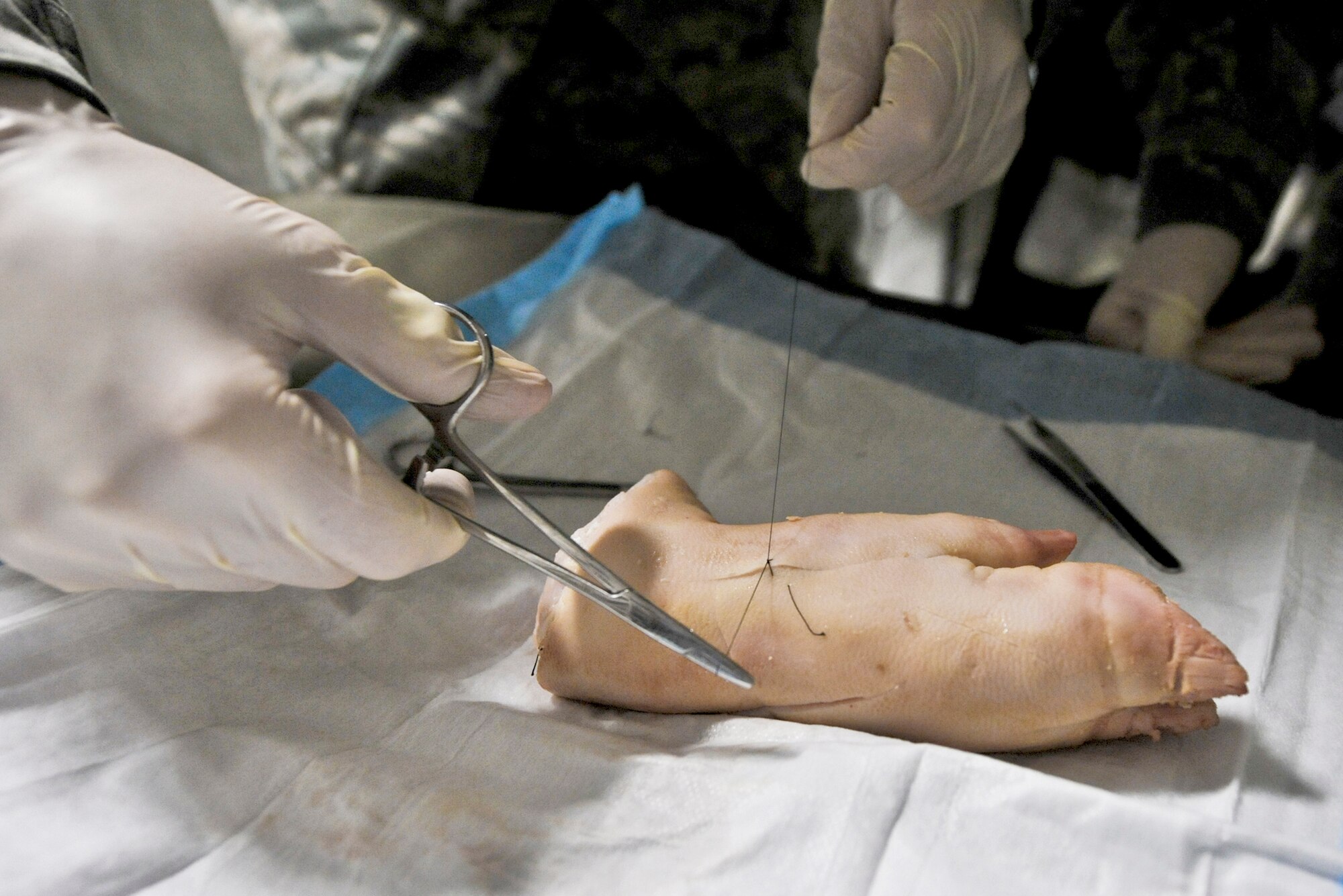 Master Sgt. Jason Bradley demonstrates, using a pig's foot, the proper way to suture Aug. 12, 2010, at Joint Base Elmendorf-Richardson, Alaska. (U.S. Air Force photo/Airman 1st Class Christopher Gross) 